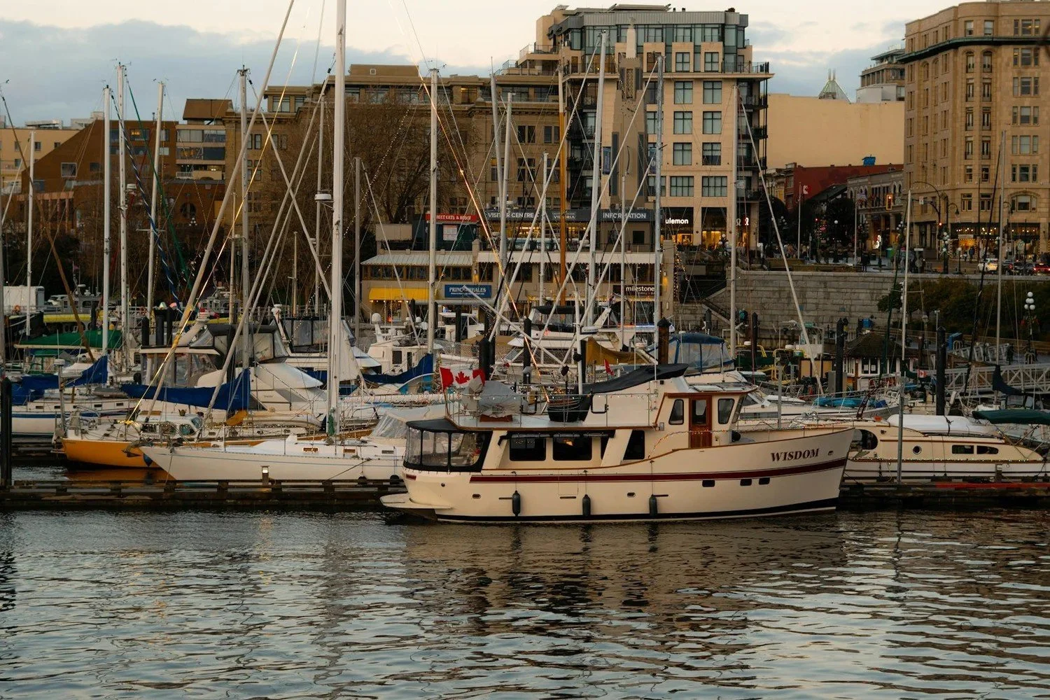 Victoria BC Cruise Excursions: Best Tours & What to Skip