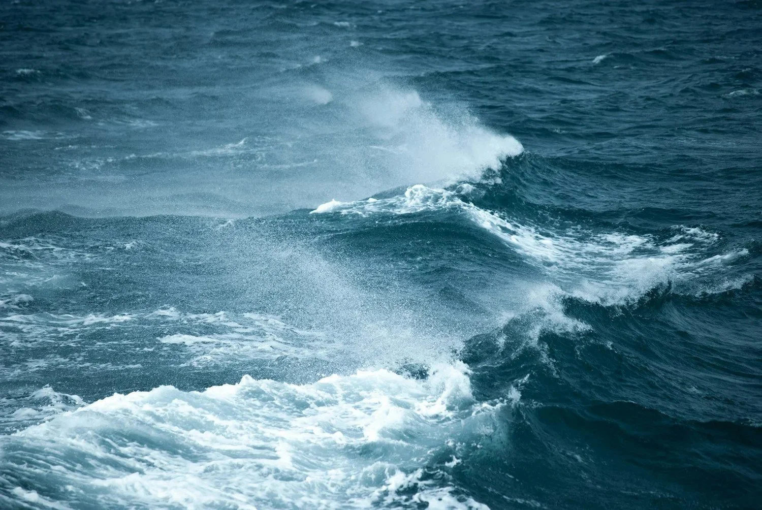 How to Avoid Seasickness on a Cruise