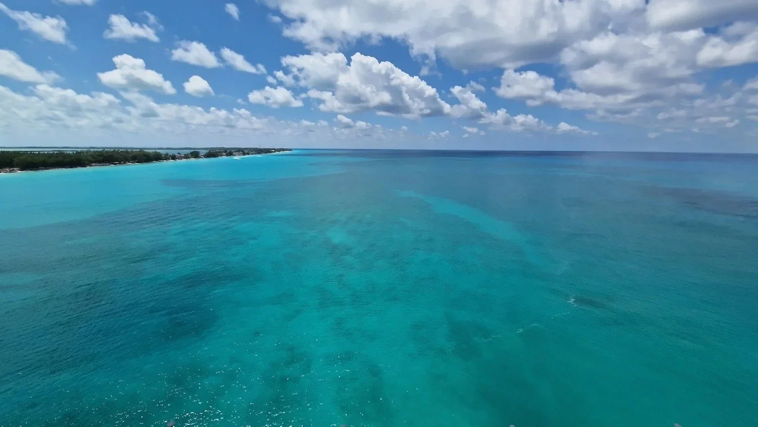 Things to Do in Bimini: Cruise Port Guide
