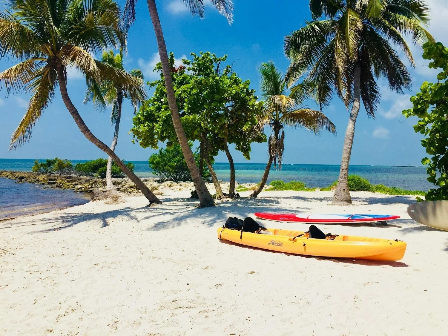 Things to Do in Key West: Cruise Port Guide