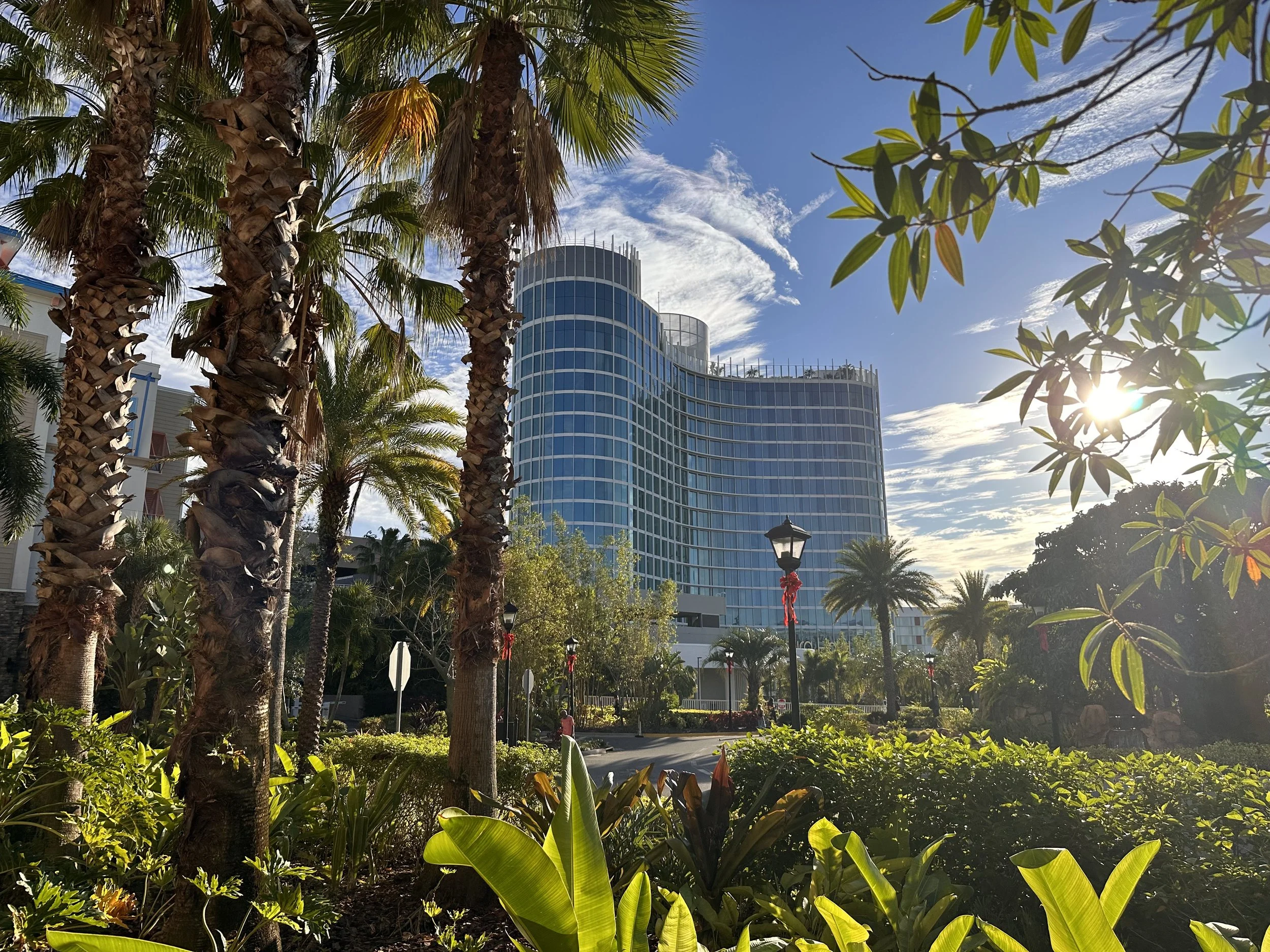 Stella Nova vs Aventura: Which Universal Hotel Should You Book?
