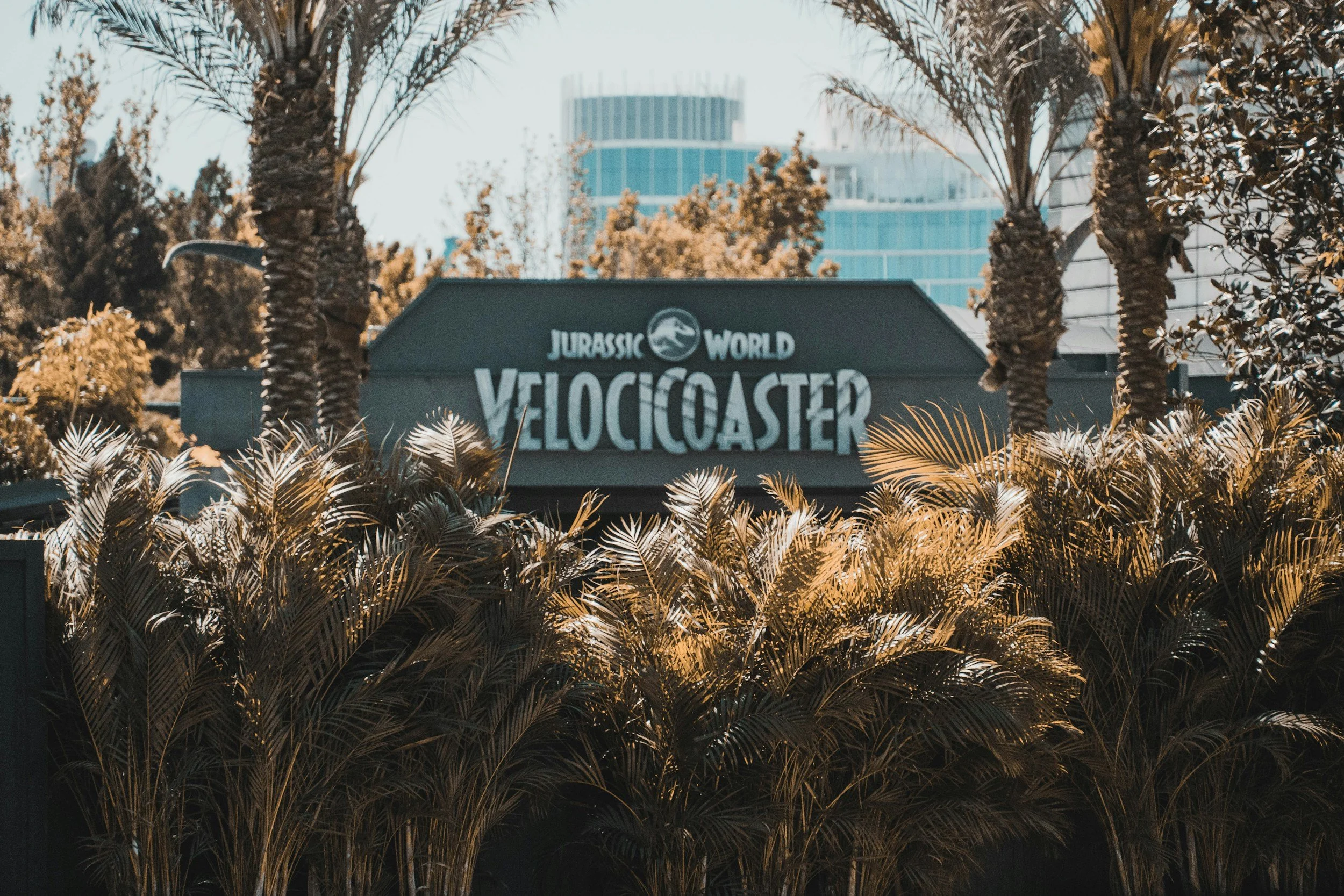 Every Roller Coaster at Universal Orlando, Ranked
