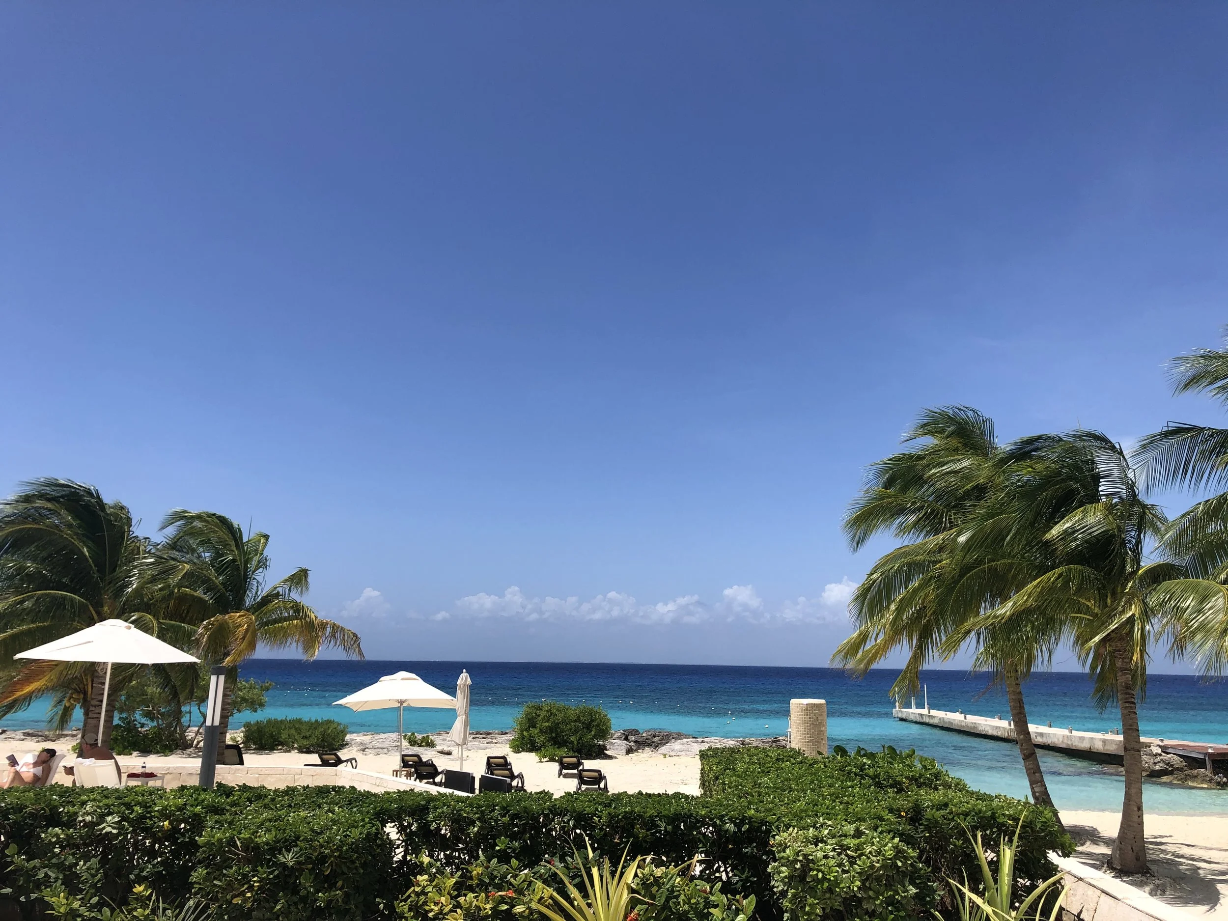 Westin Cozumel Review: Bonvoy Points on a Dive Island