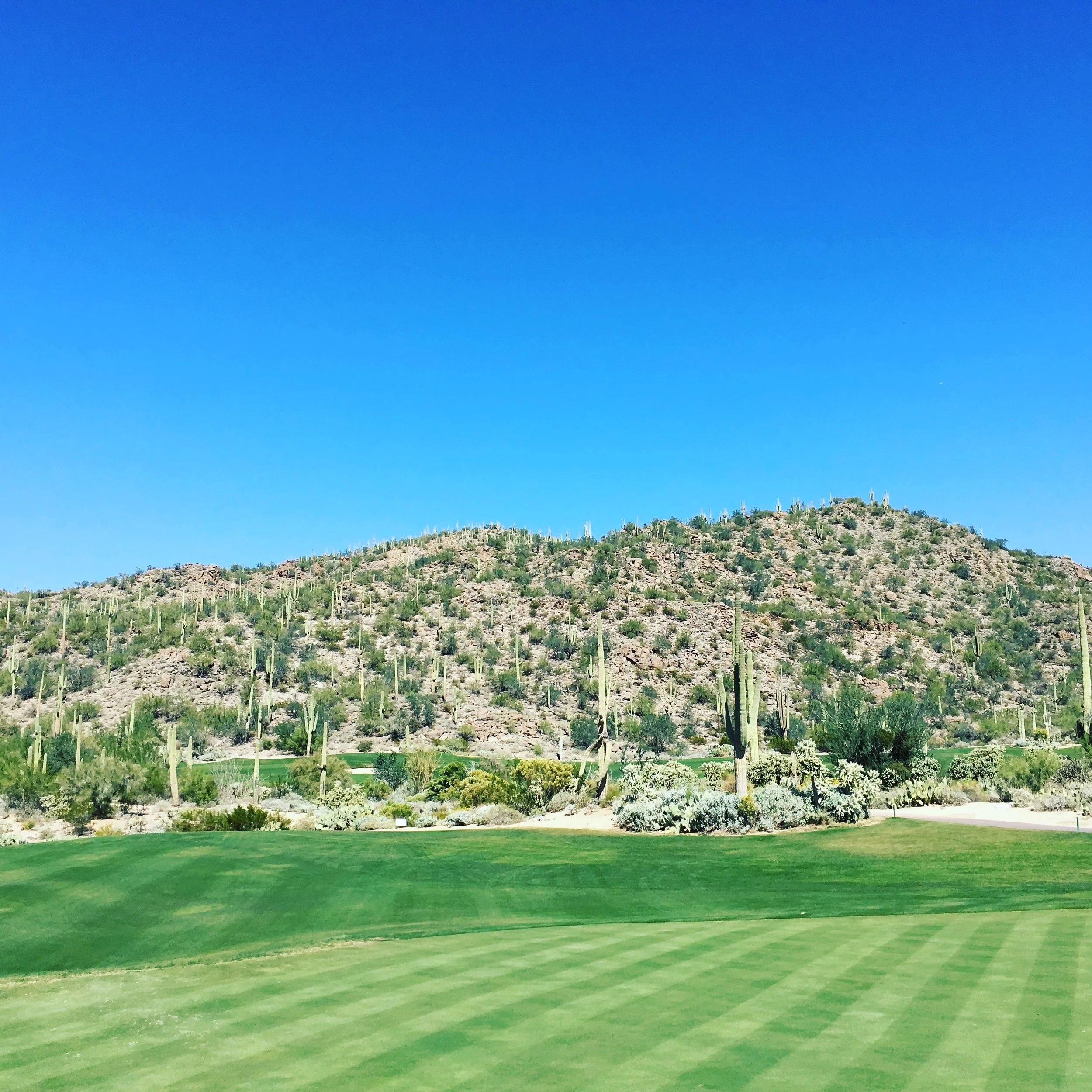Ritz-Carlton Dove Mountain Review: Desert Luxury Near Tucson
