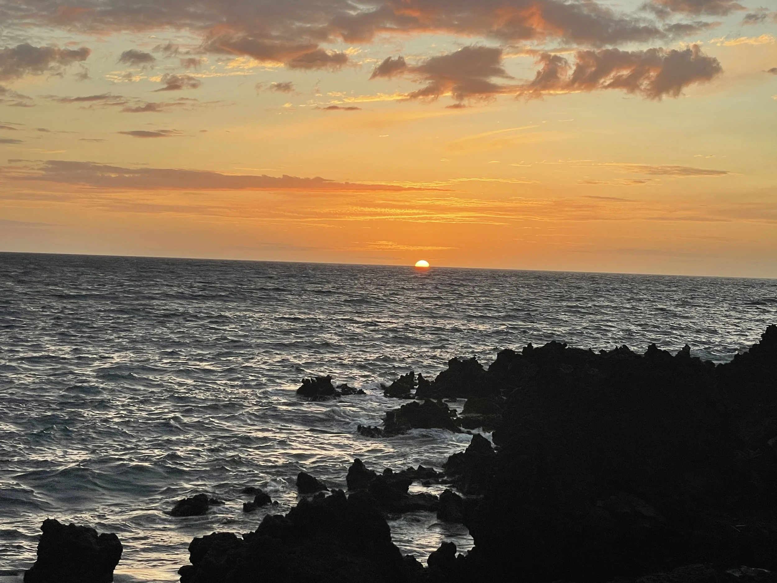 Waikoloa Beach Marriott Resort & Spa Review (Big Island)