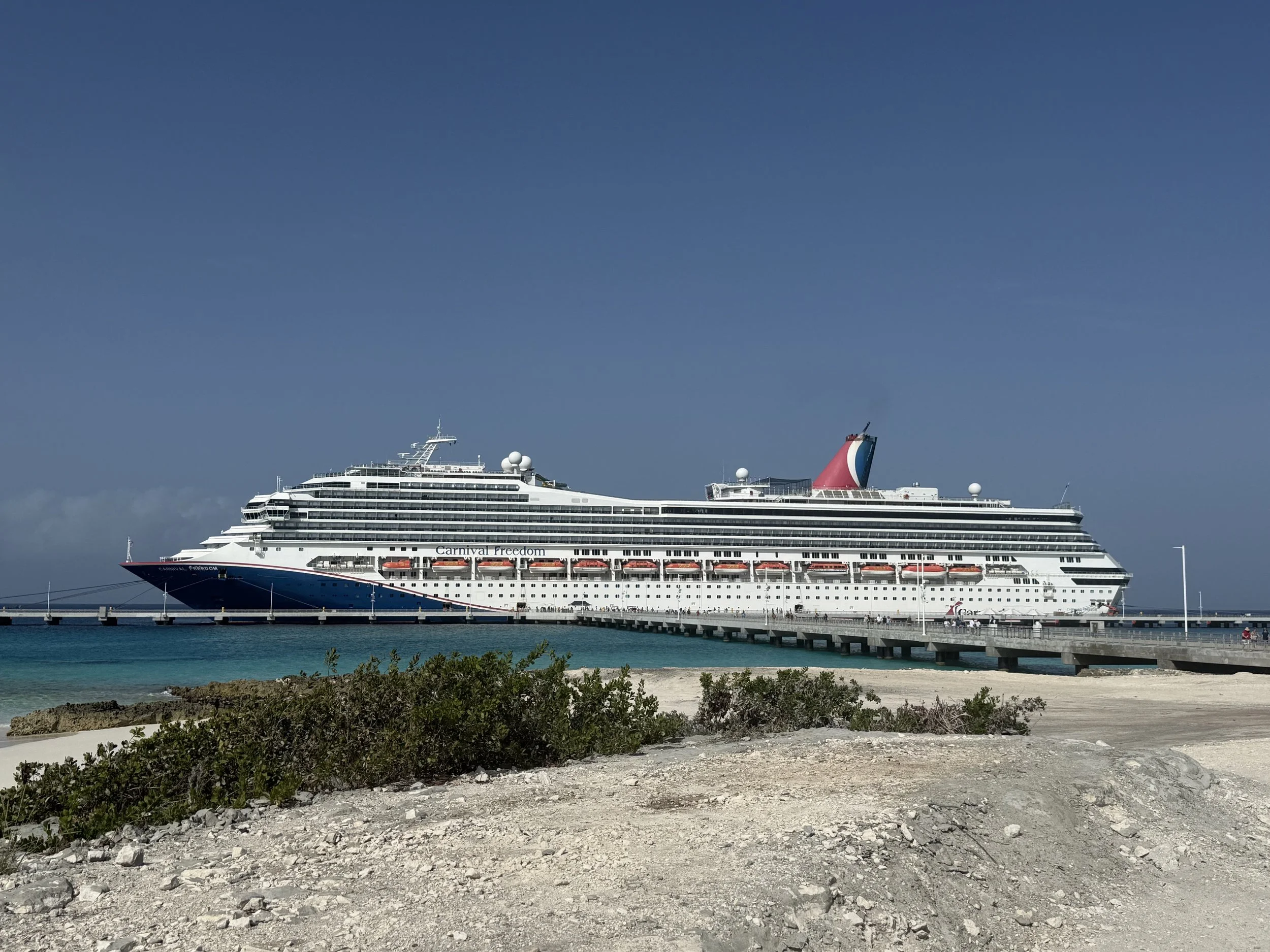 Every Restaurant on Carnival Freedom