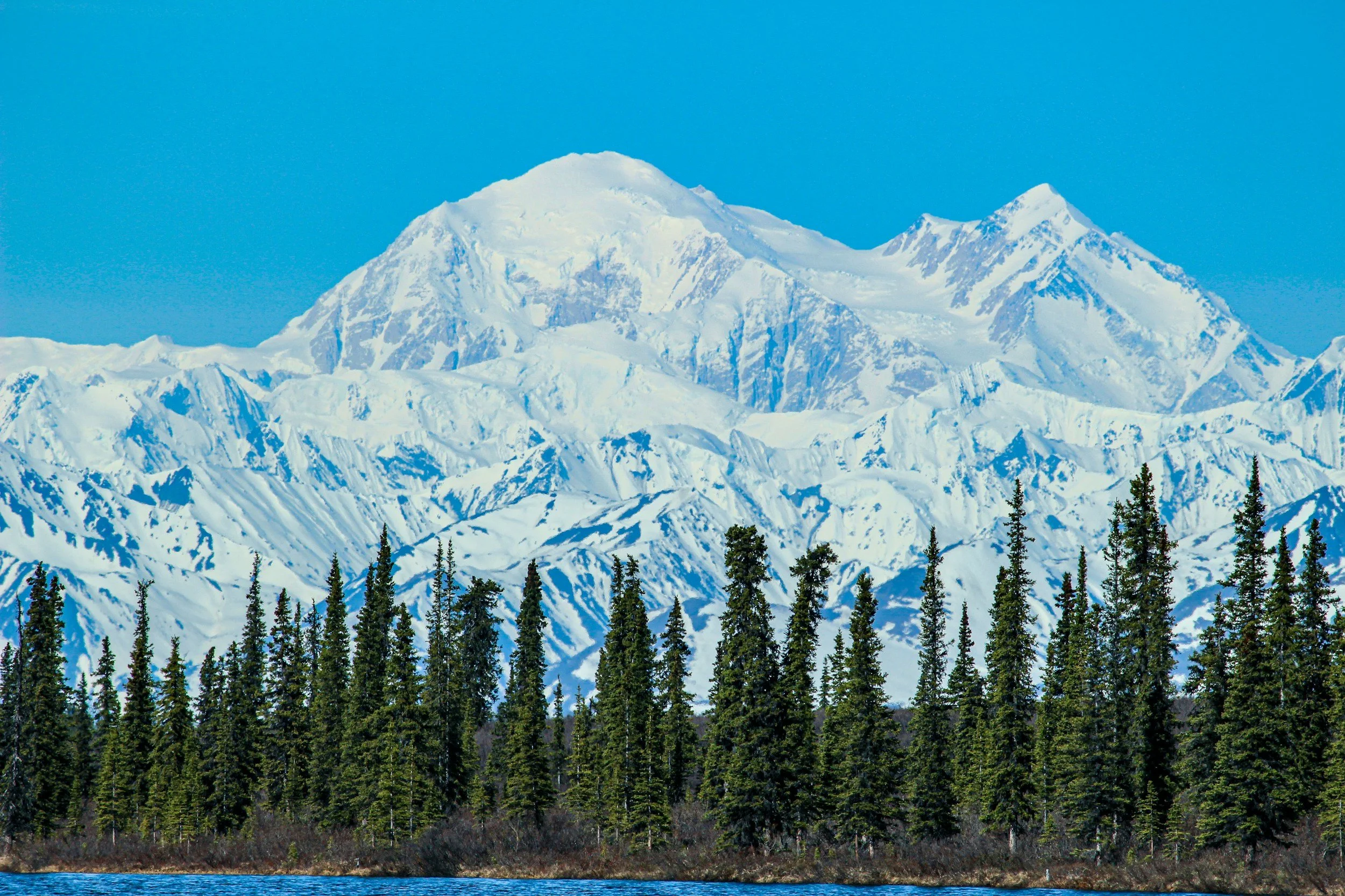 Alaska Cruisetours Explained: Denali, Rail, and Whether the Land Portion Is Worth It