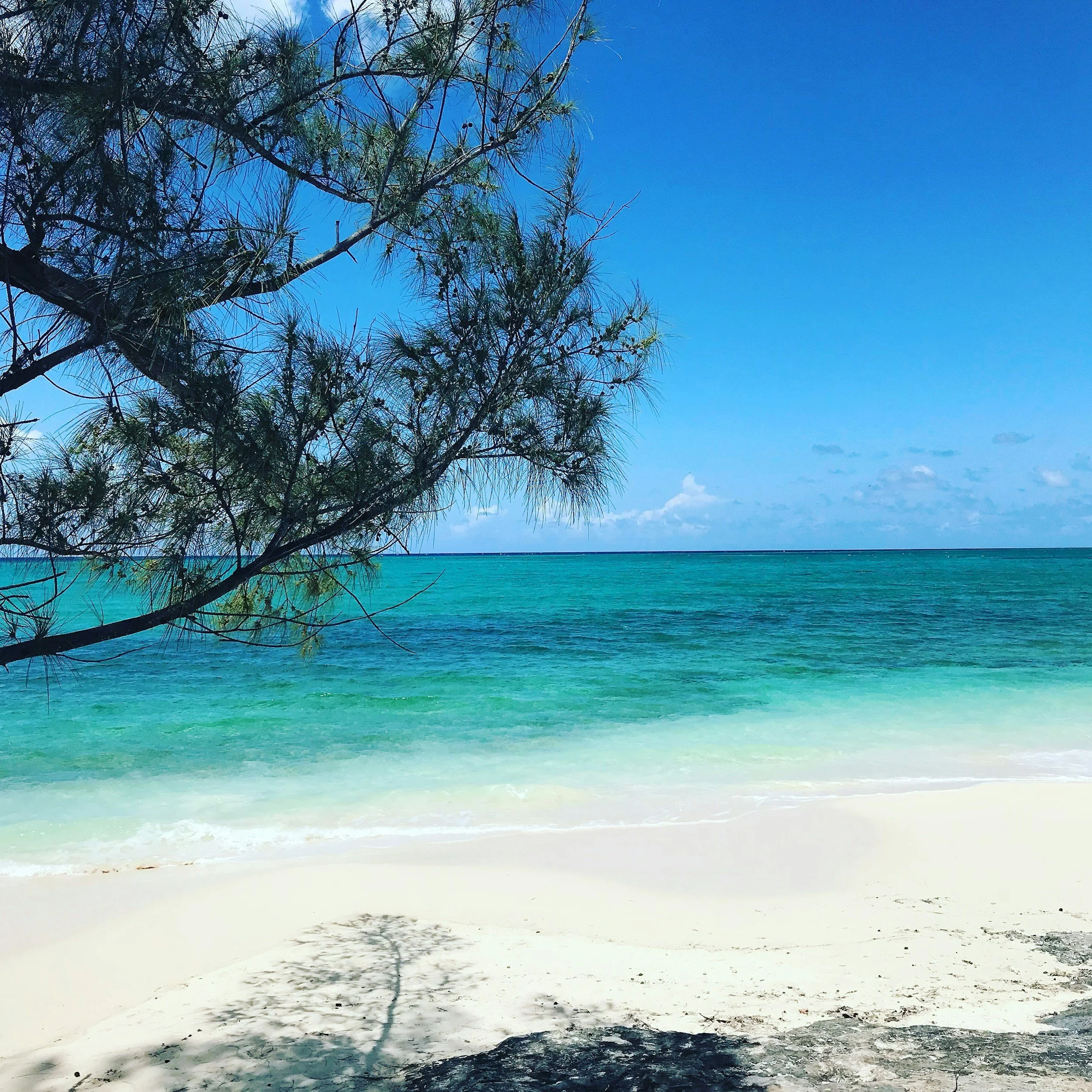 Ocean Cay Guide: Everything To Do on MSC's Private Island