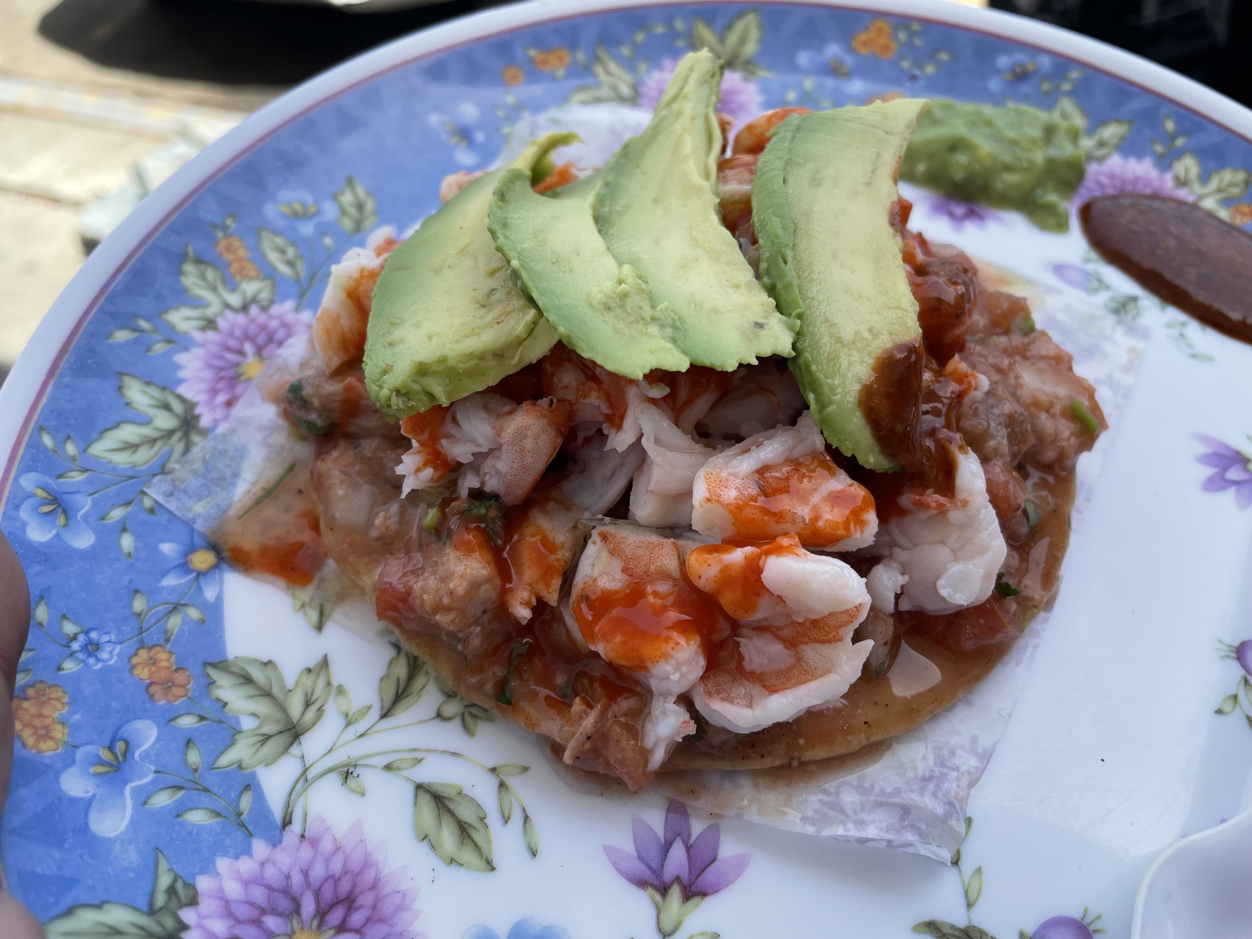 tostada at cartera guerrense