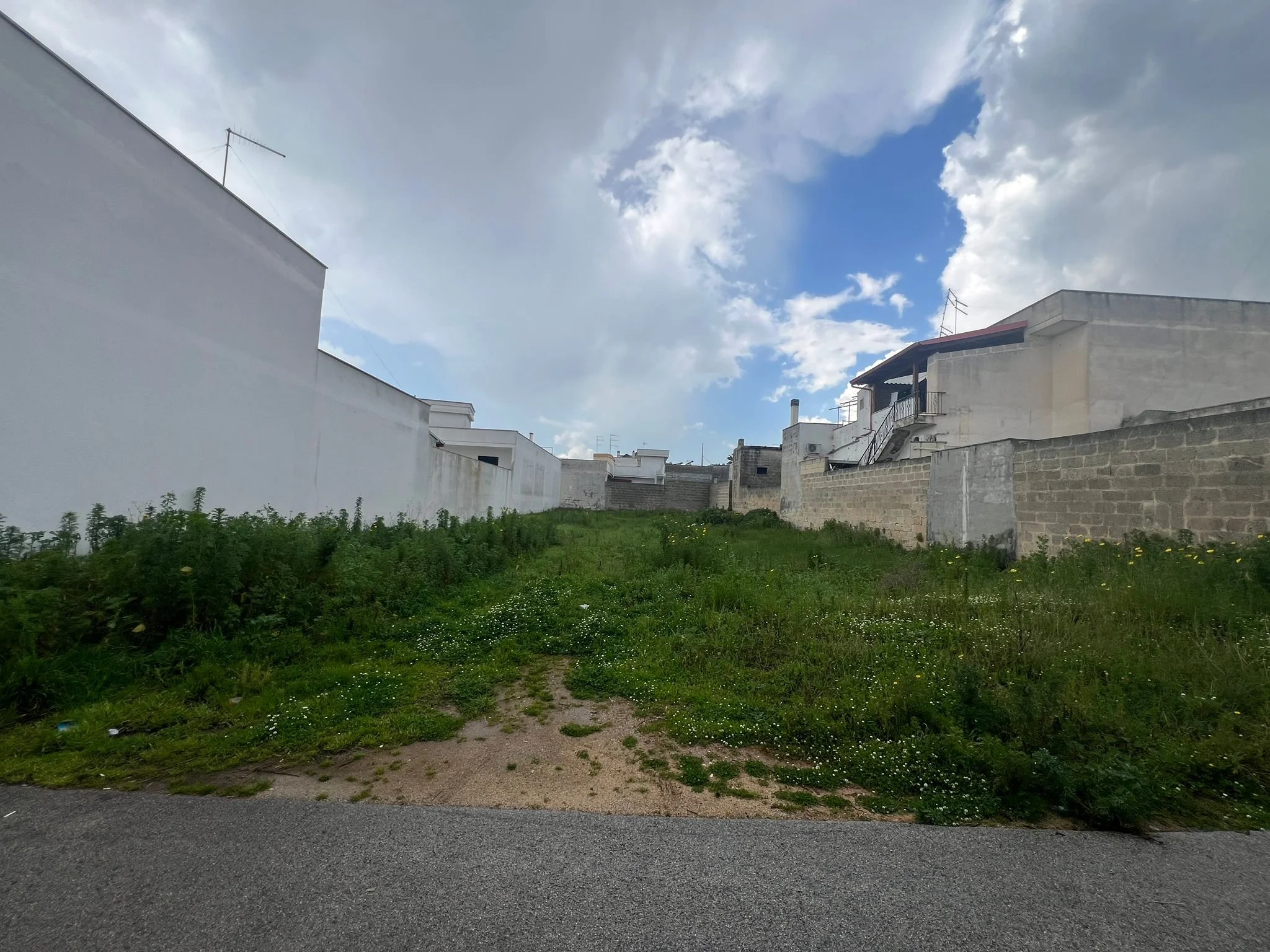 WhatsApp Image 2026-03-13 at 12.26.22 (3).jpeg