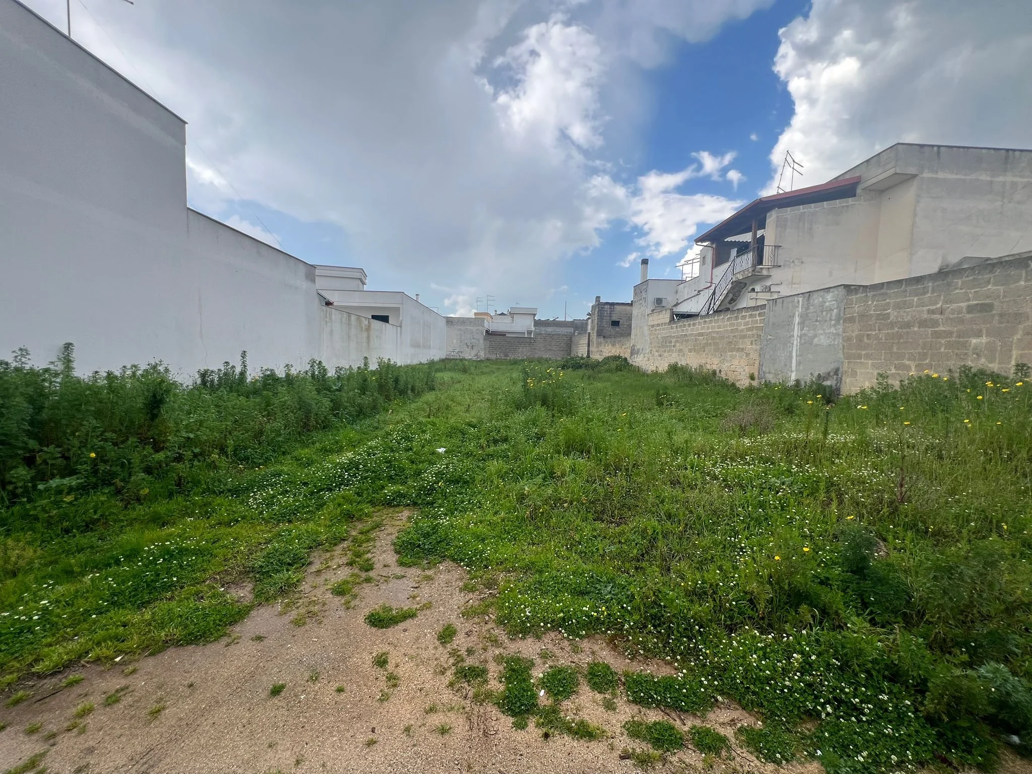 WhatsApp Image 2026-03-13 at 12.26.22.jpeg