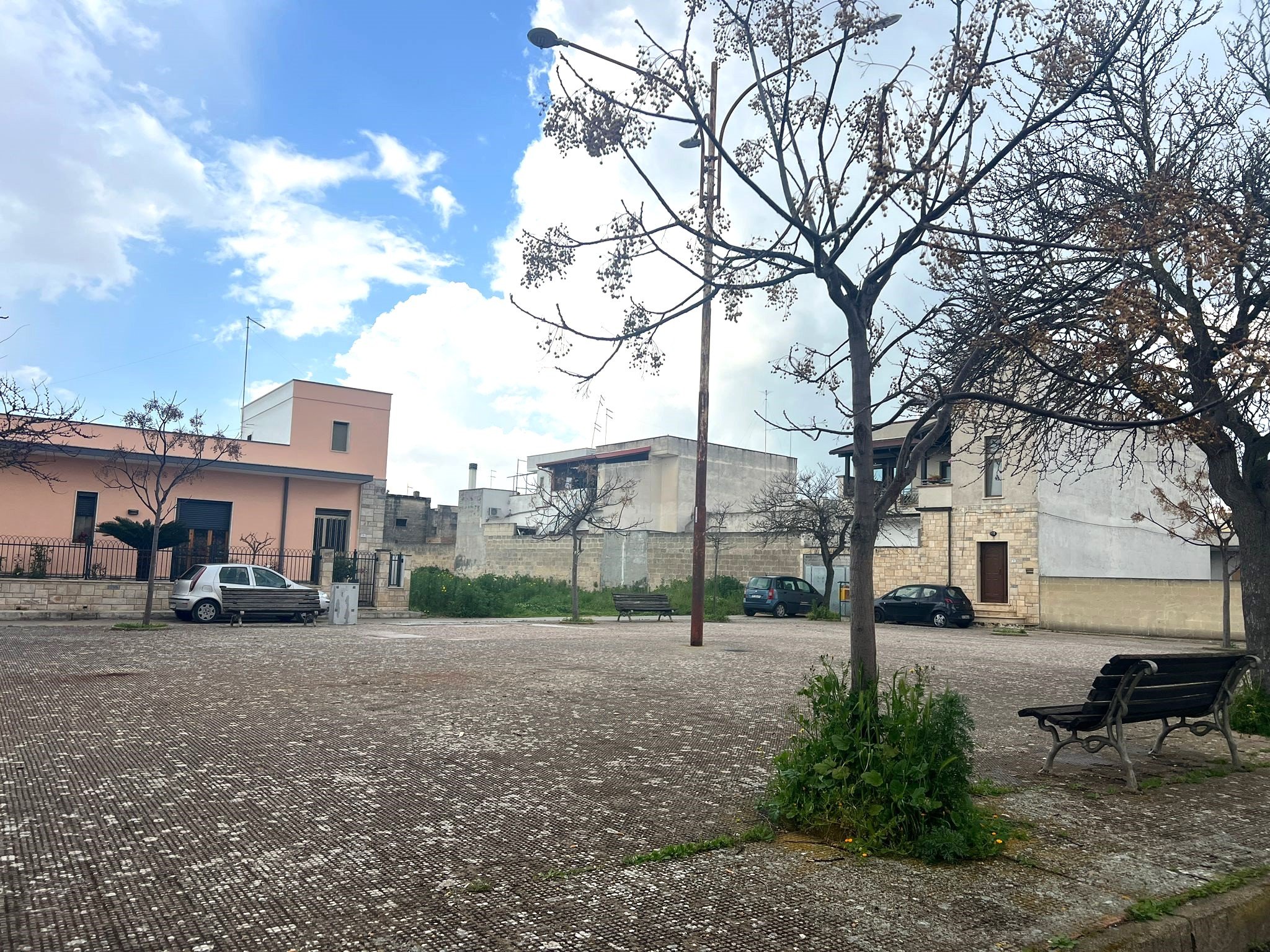 WhatsApp Image 2026-03-13 at 12.26.22 (5).jpeg