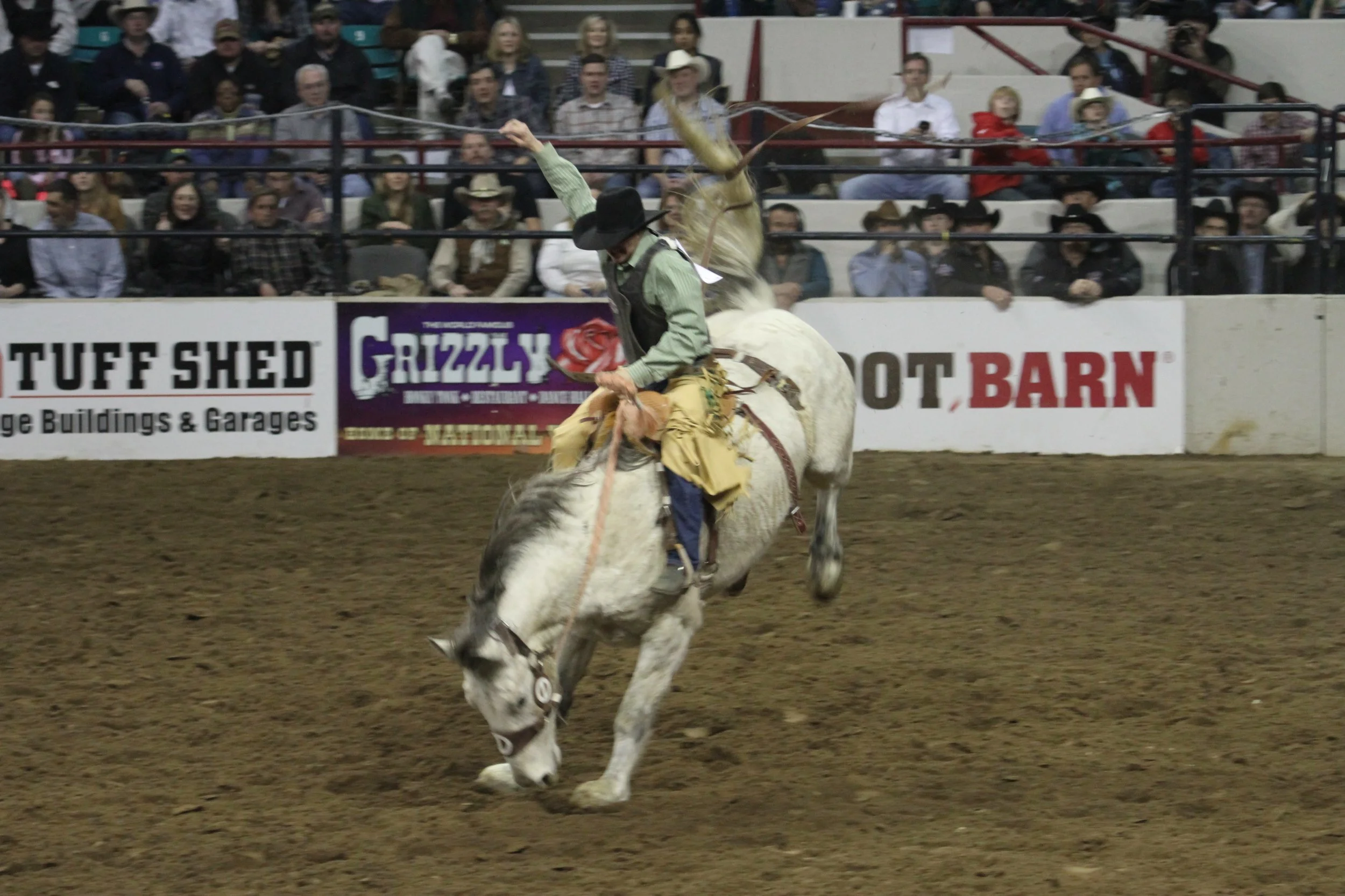 Rodeo History in Colorado