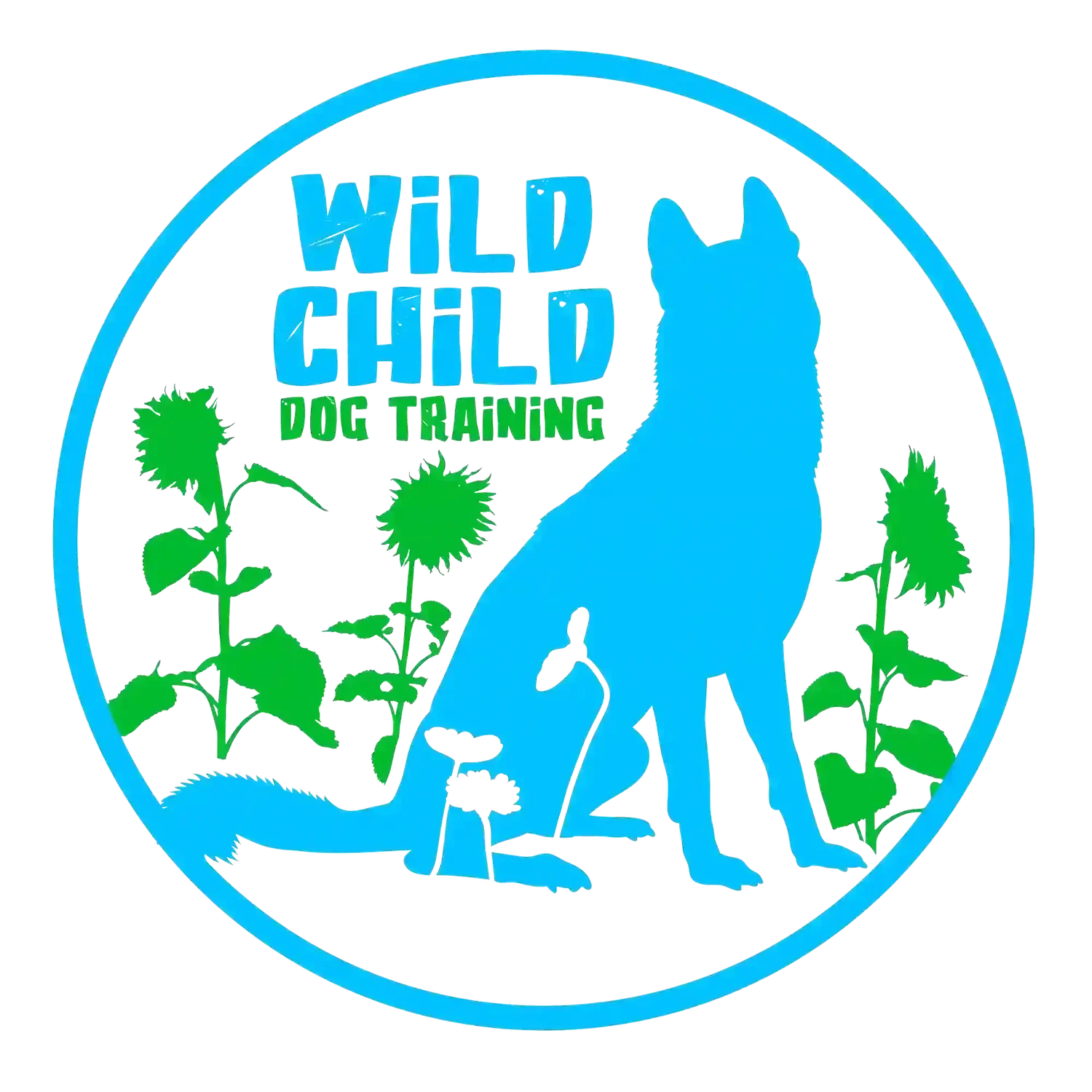 Wild Child Dog Training