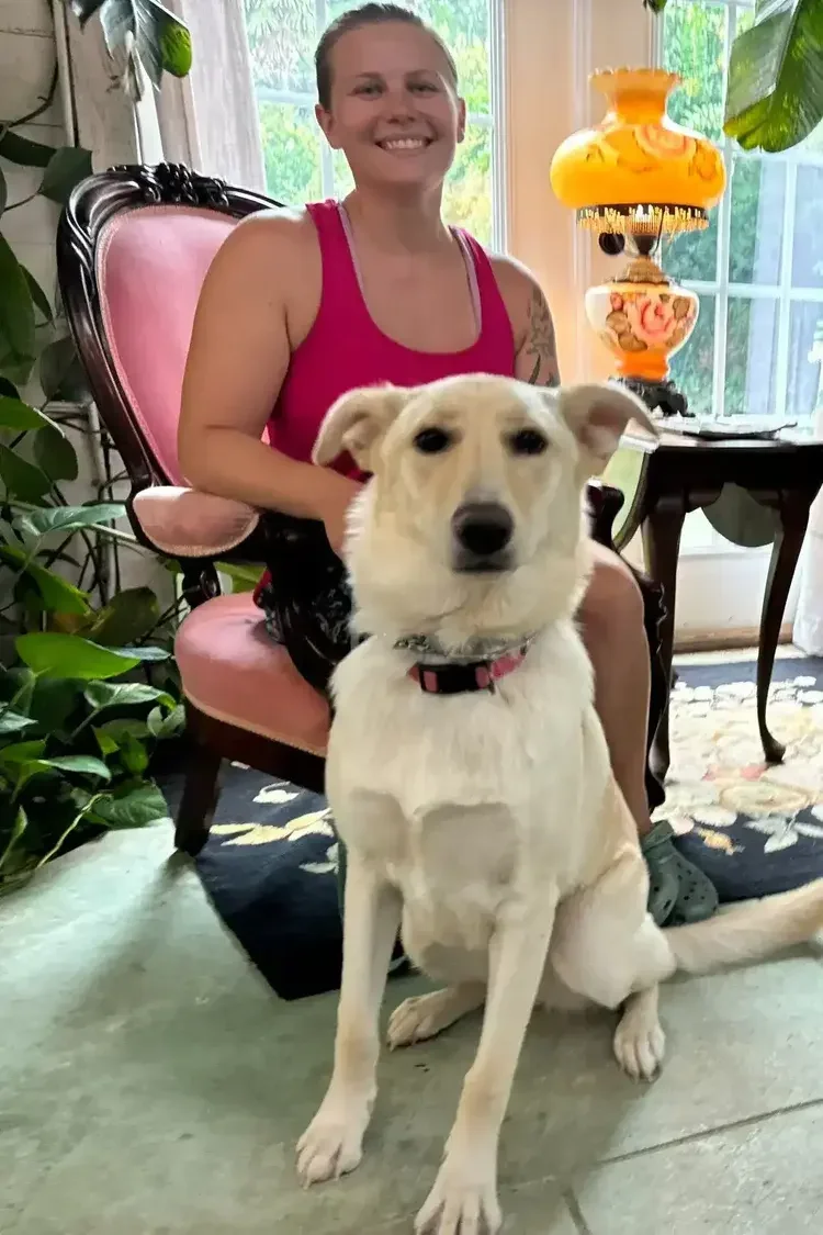 Person sitting in a pink chair with a white dog in front of them, indoor setting with plants and a vintage lamp.
