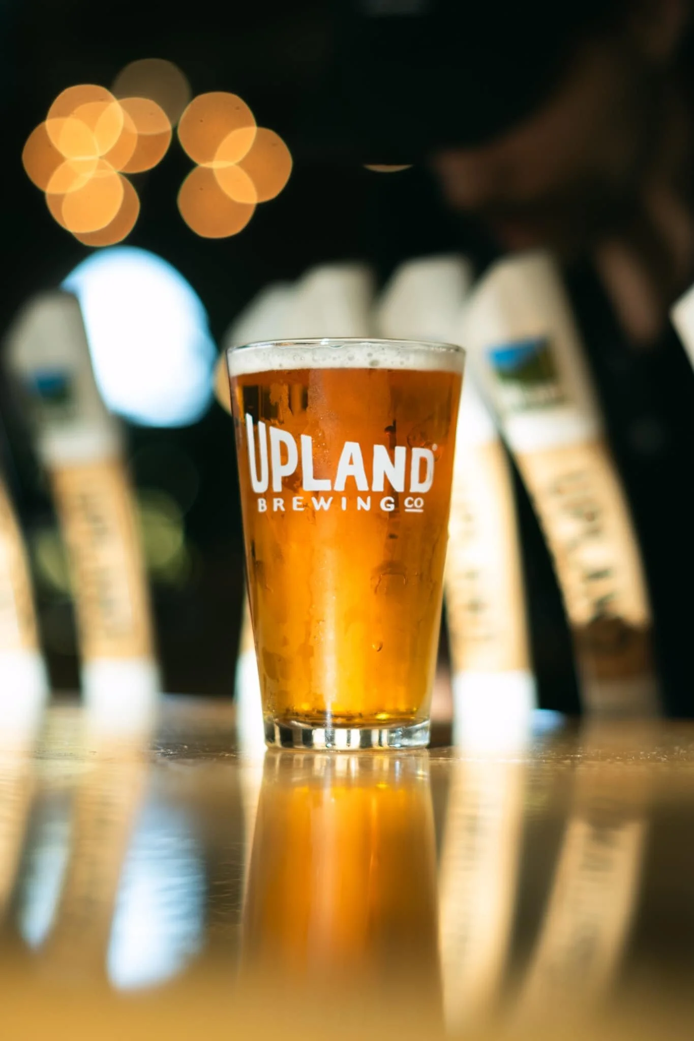 Dragonfly IPA | Upland Pump House | Columbus, Indiana