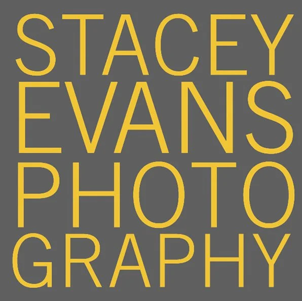 Stacey Evans