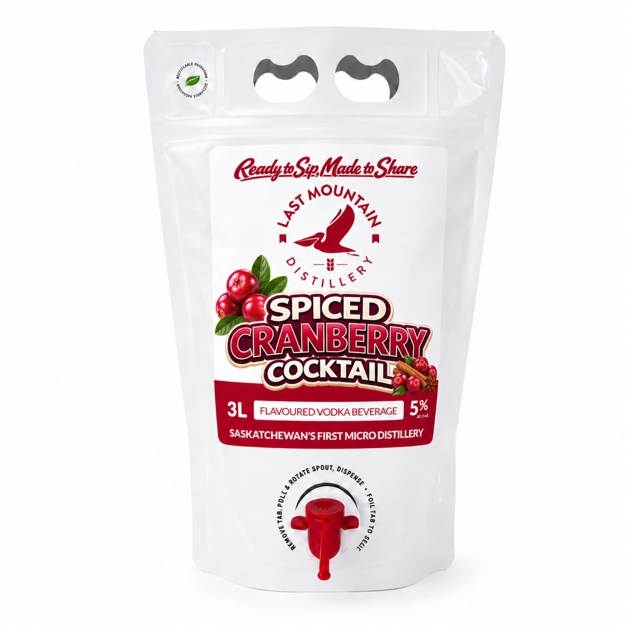 Spiced Cranberry Cocktail