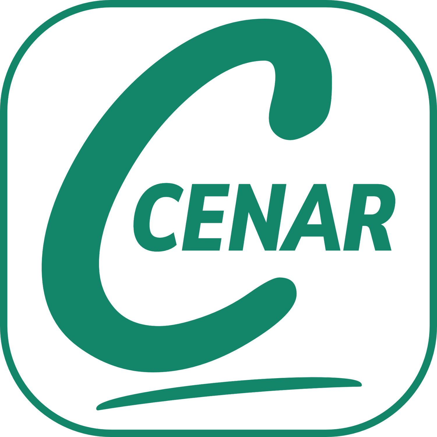 Center for Community Engagement, Neighborhood Advocacy &amp; Research