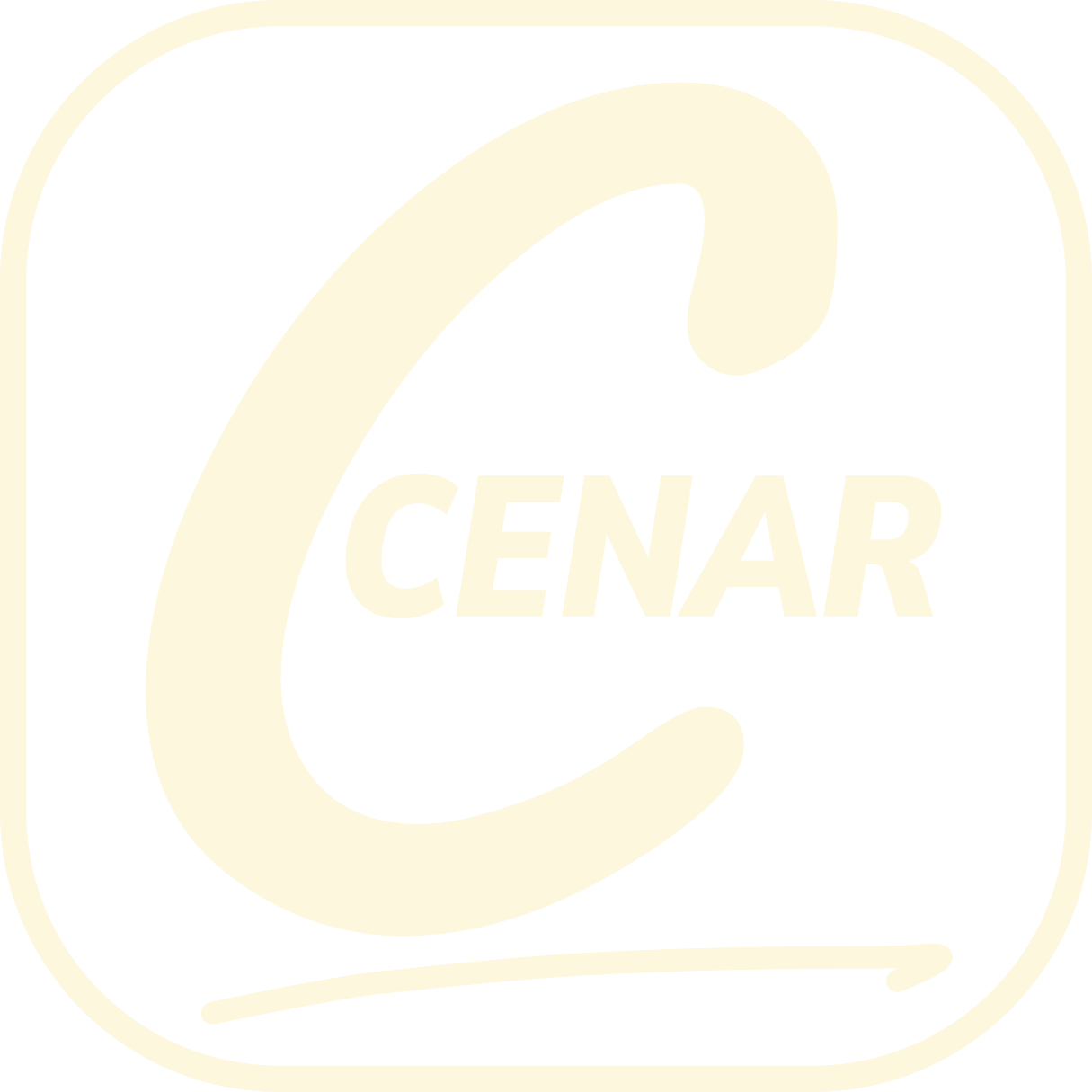 Center for Community Engagement, Neighborhood Advocacy &amp; Research