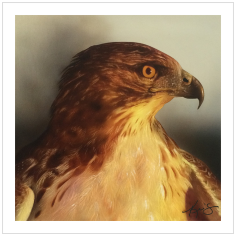 buynow-336a4853-70c6-4e57-a128-69c954a0dc9a.png
