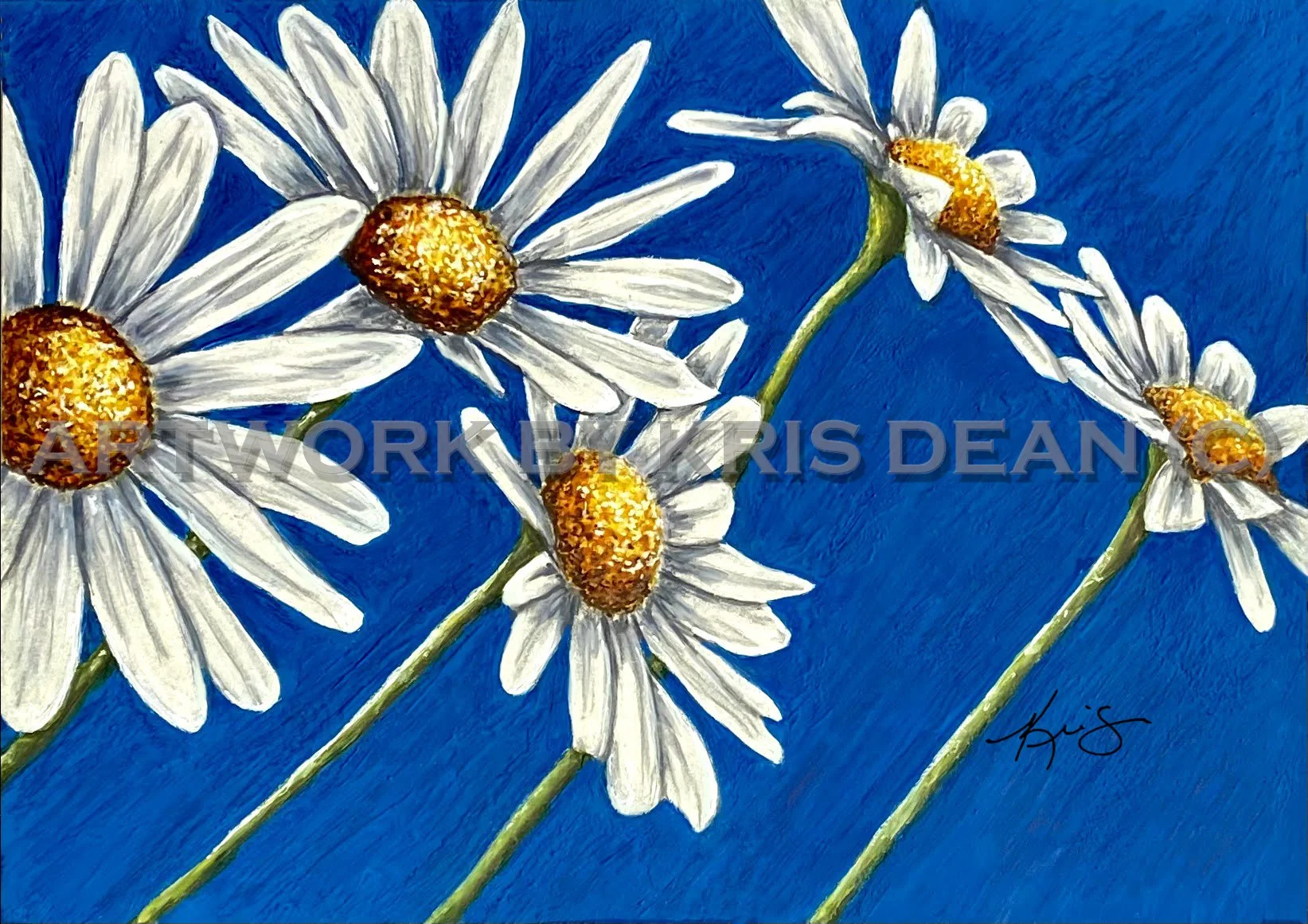 Daisy Days watermark.jpg