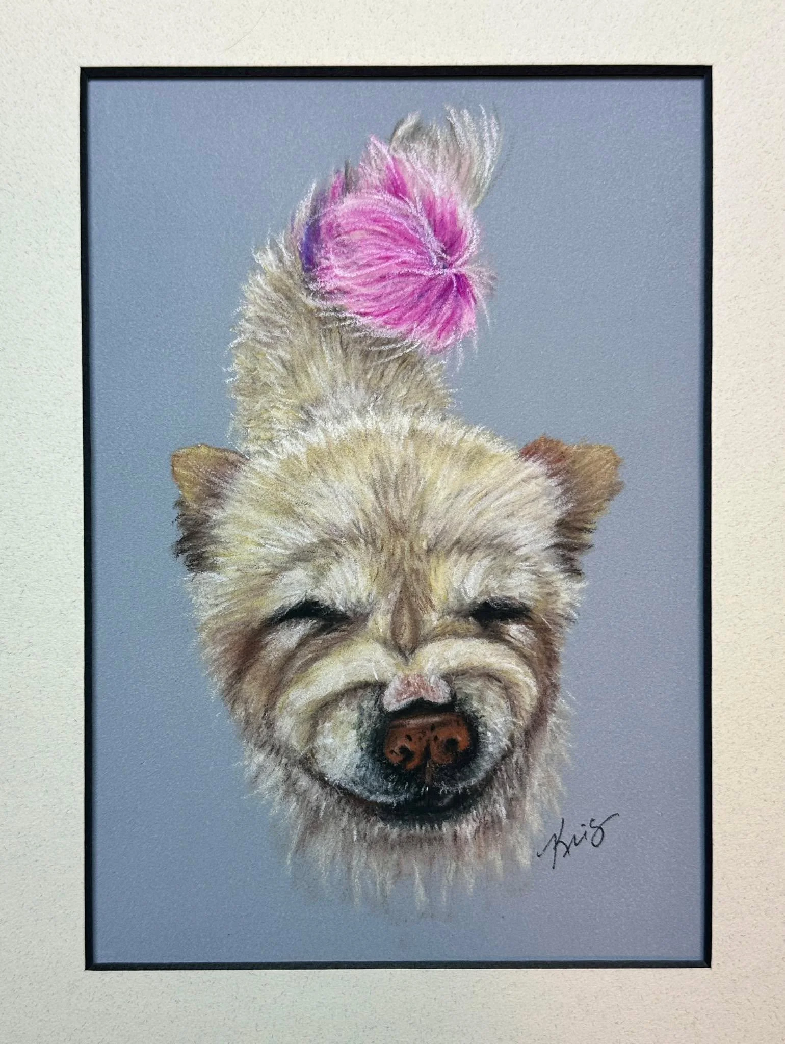 🐾 Meet Rachel 🐾
This sweet Chow has such a unique personality&mdash;and yes, her fluffy tail is pink! 💕 I had so much fun bringing out her character&hellip;just look at her smile!

I love when I get to capture those unique touches that make each p