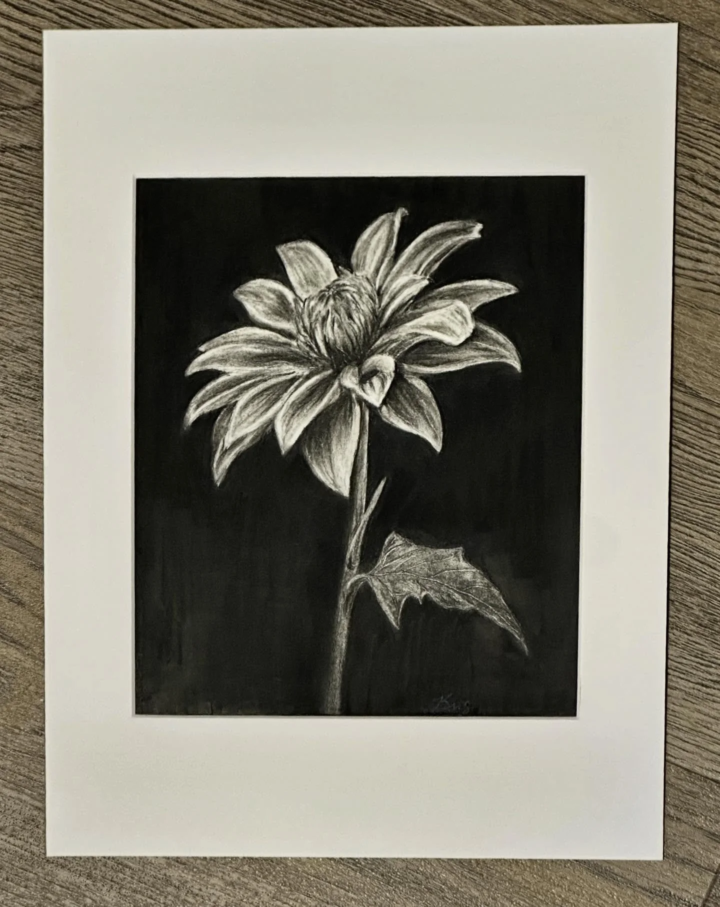 Who says flowers need color to shine? This black and white chrysanthemum is on the lookout for a new owner&mdash;could it be you? Let&rsquo;s make your walls bloom (even if only in monochrome)! Send a message or comment below if you want to snag this