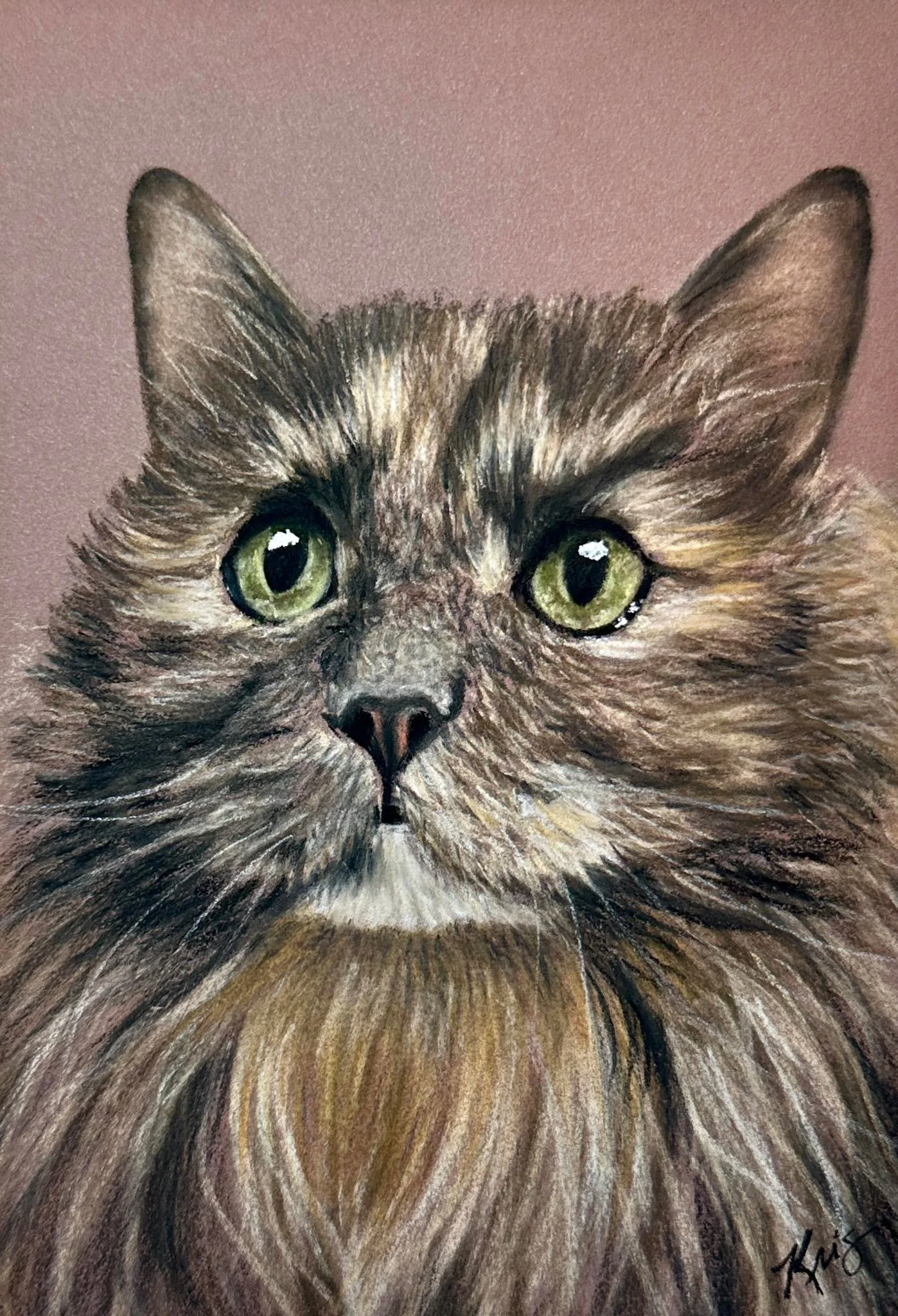 Finished this sweet portrait of Baby, and I&rsquo;m in love with how much personality fits into those whiskers and eyes 🐾✨
Our pets become family, and being trusted to capture that bond &mdash; especially for memorial pieces &mdash; is the most mean