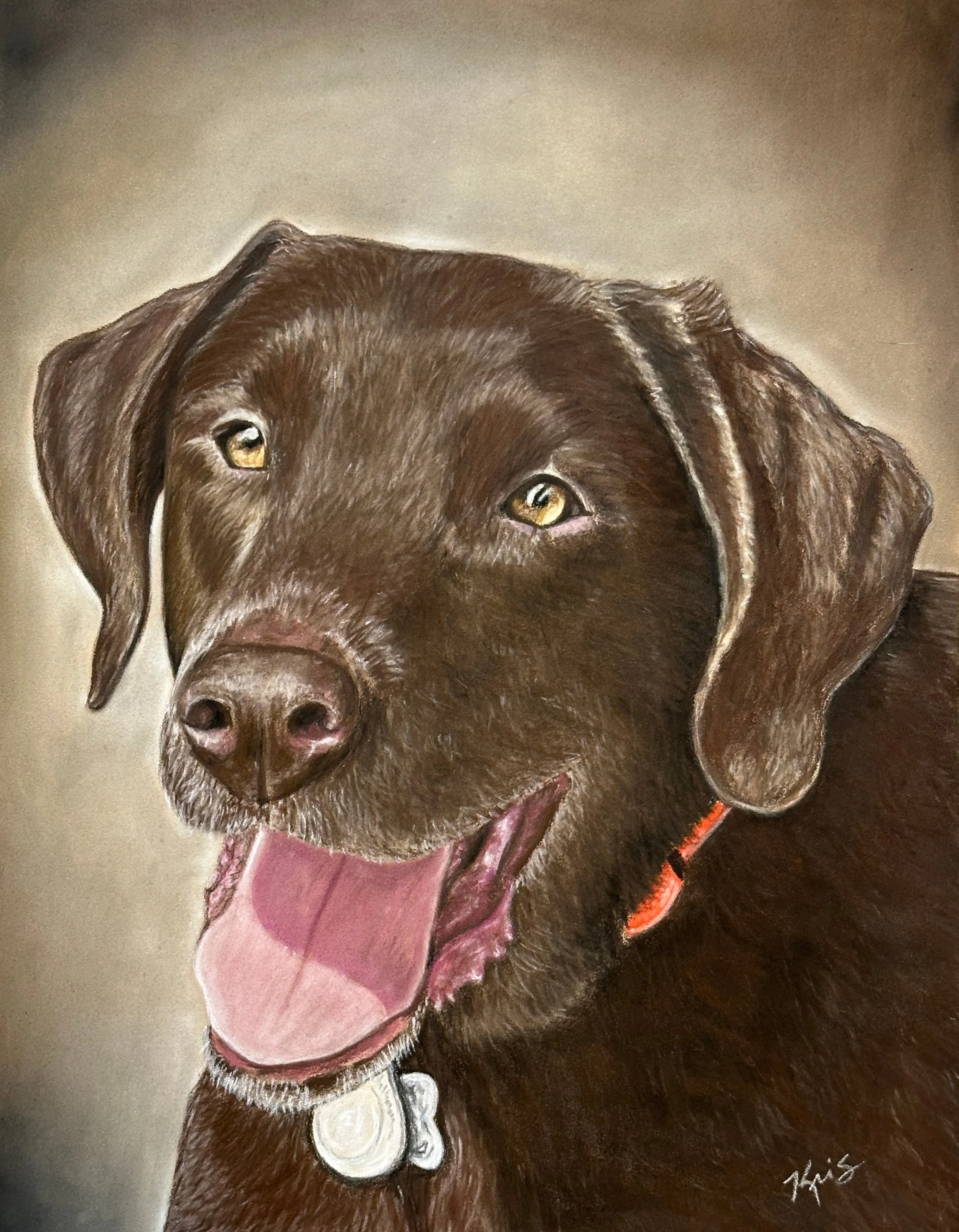 Chocolate lab pet portrait