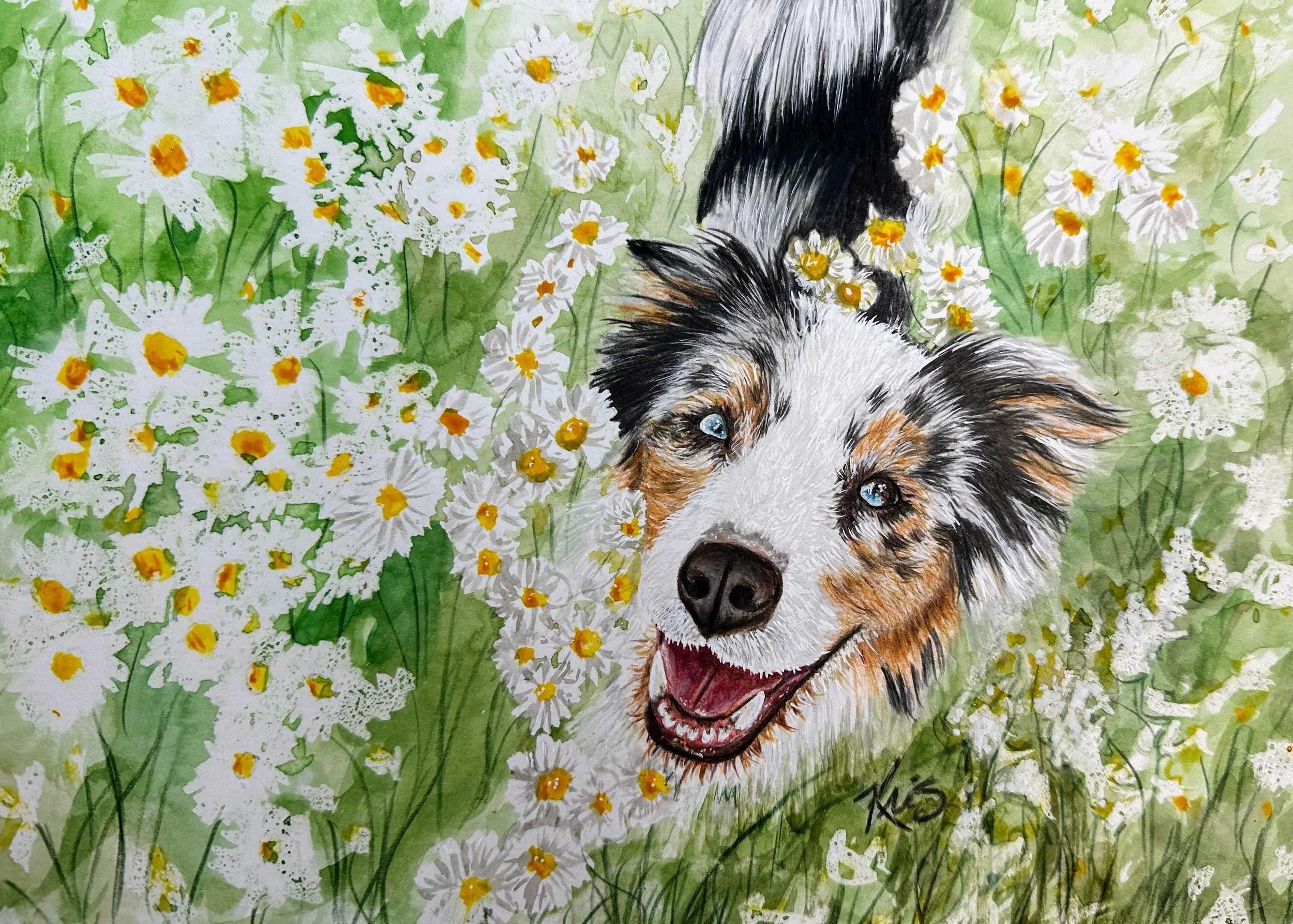 Dog portrait in a field of daisies.