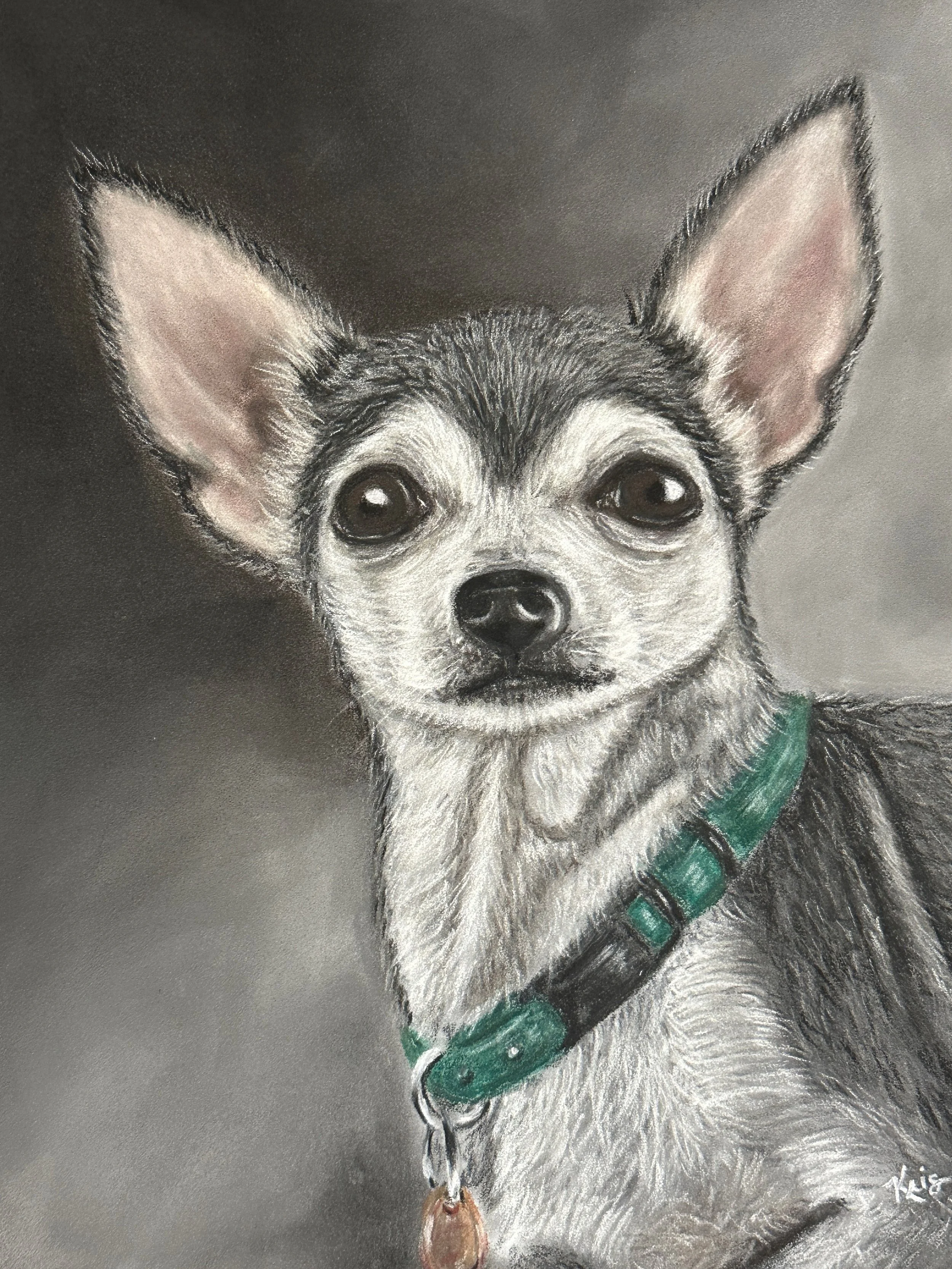 Dog portrait