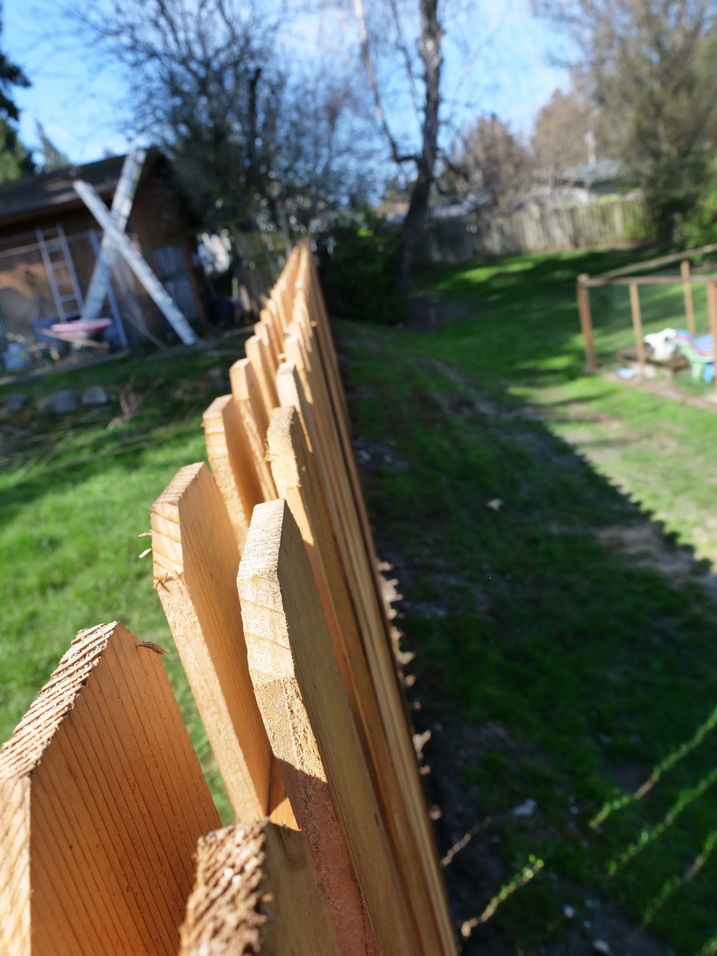 Friendship /Good Neighbor Fence