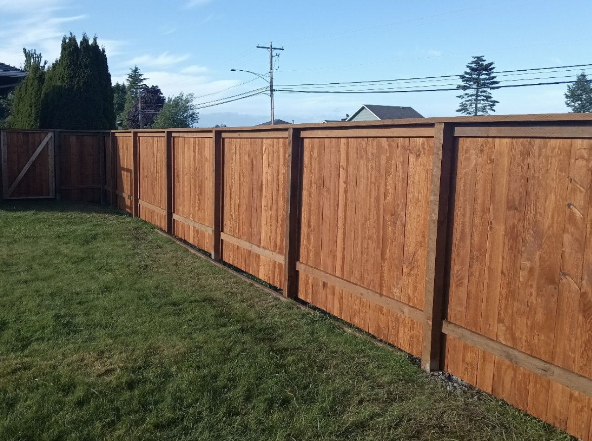 Bellingham Gold standard cedar privacy fence
