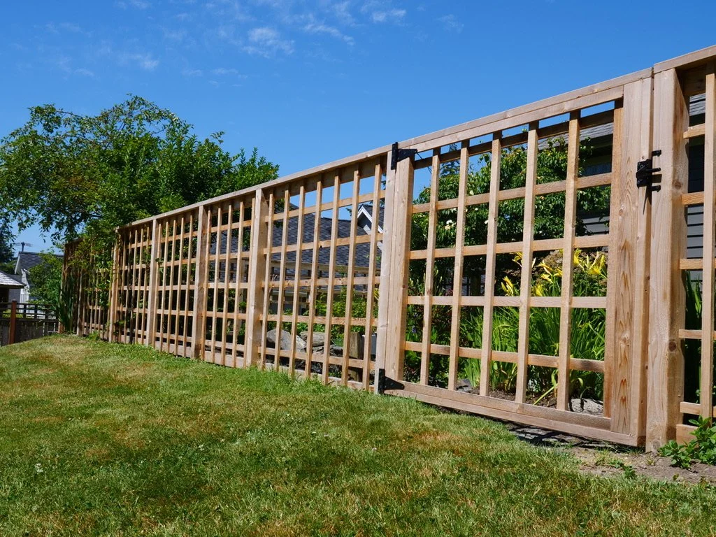 Lattice in Wonderland