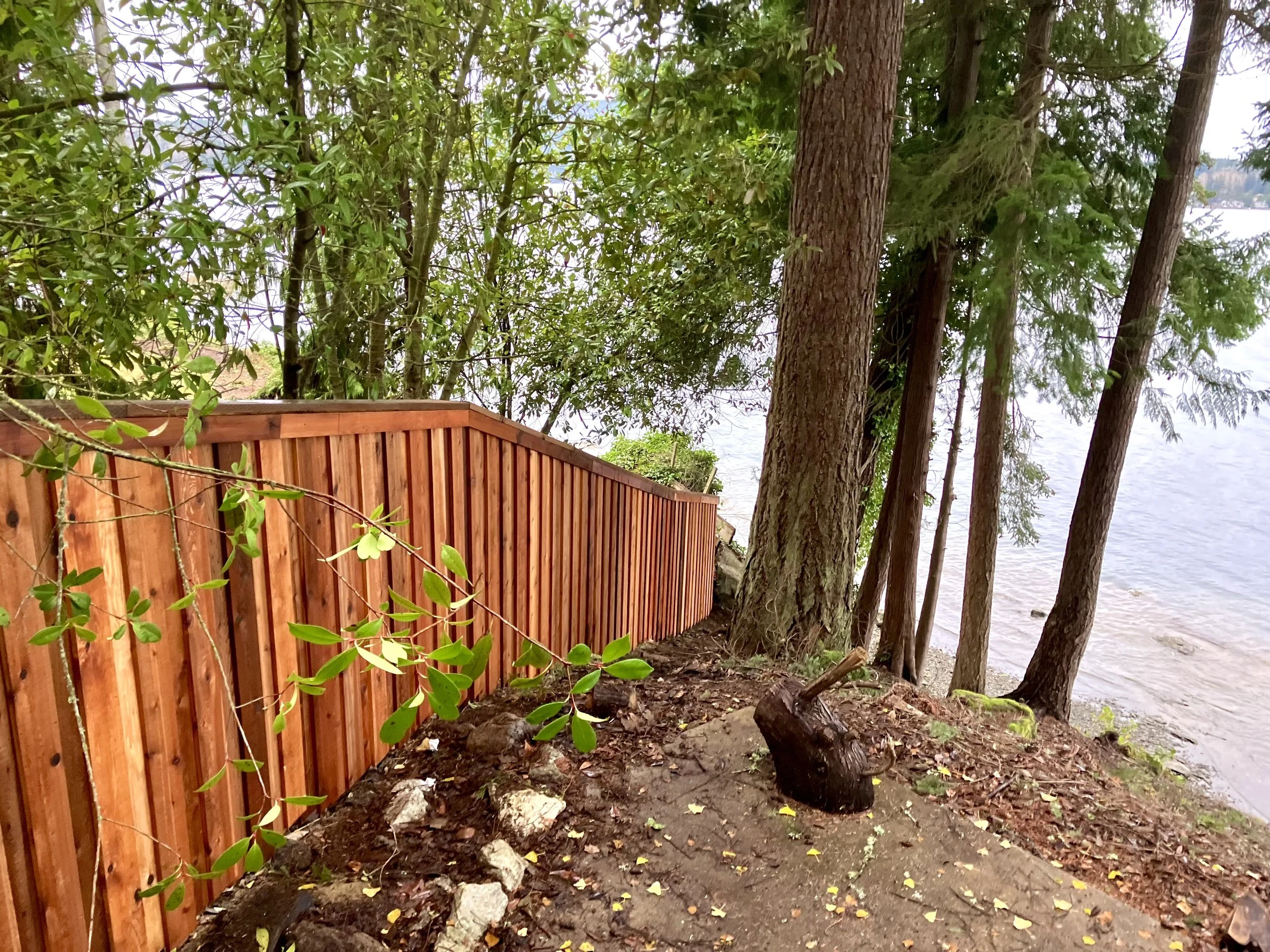 Board on Board Cedar Privacy Fence