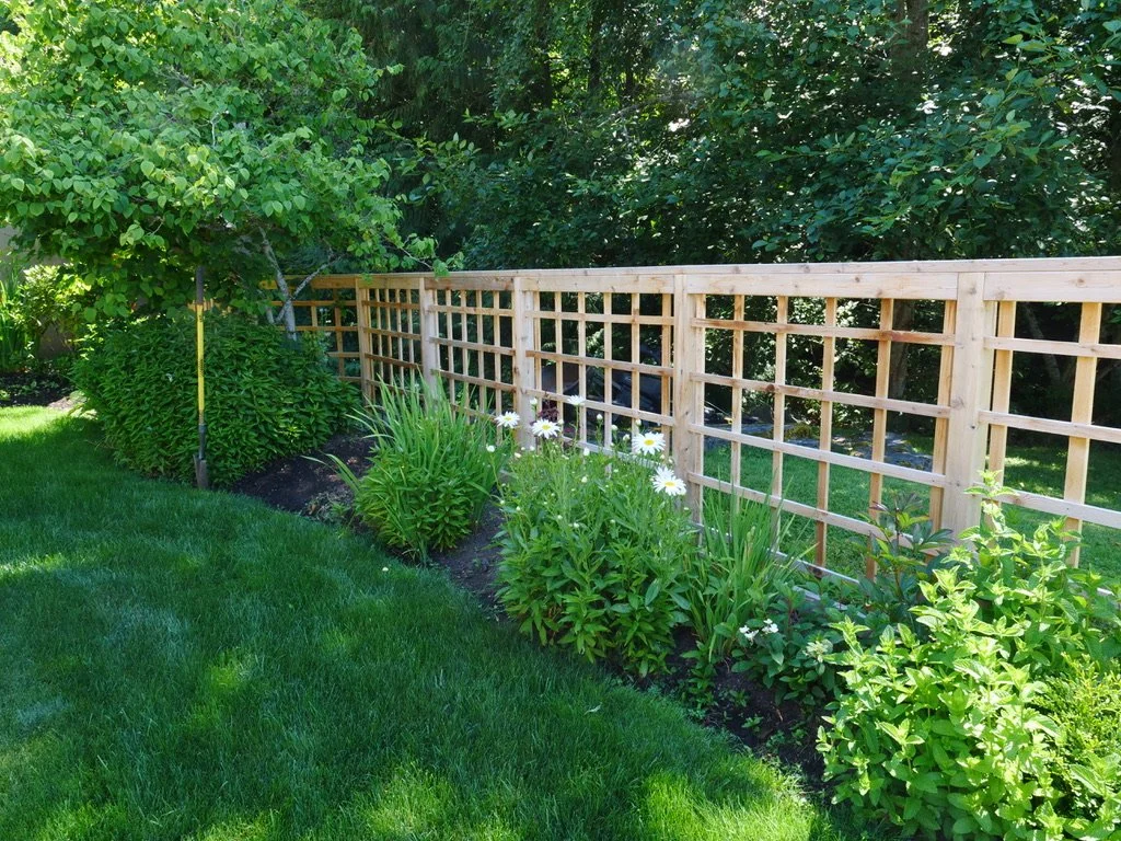 Lattice In Wonderland