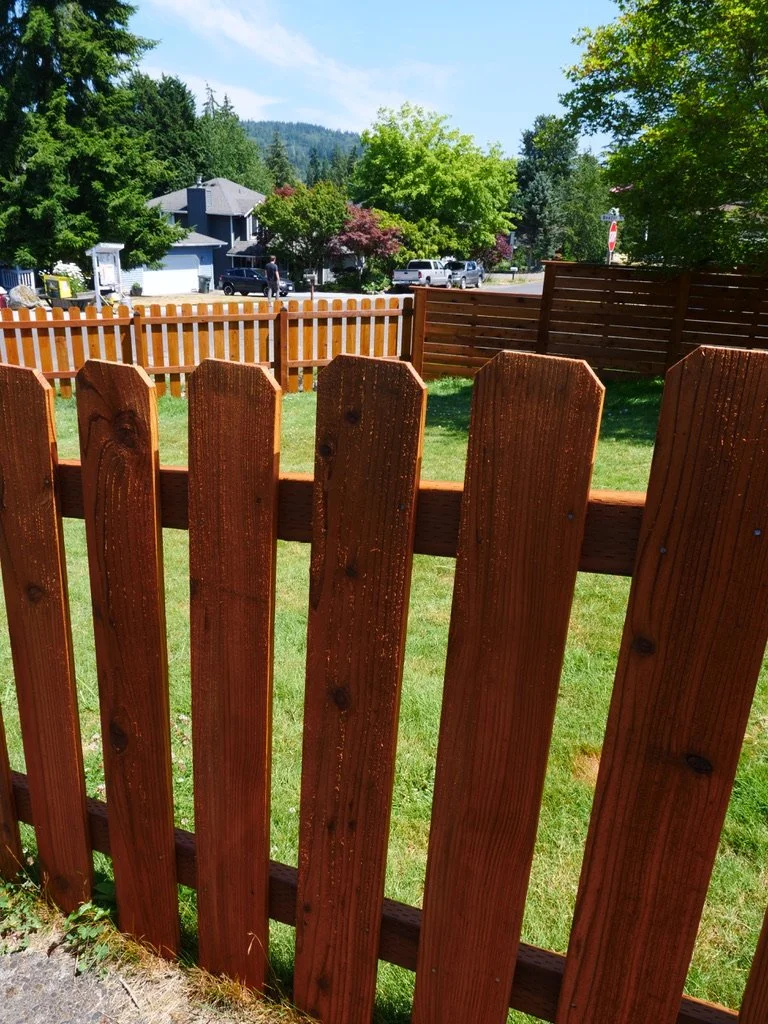 Picket Little Fence