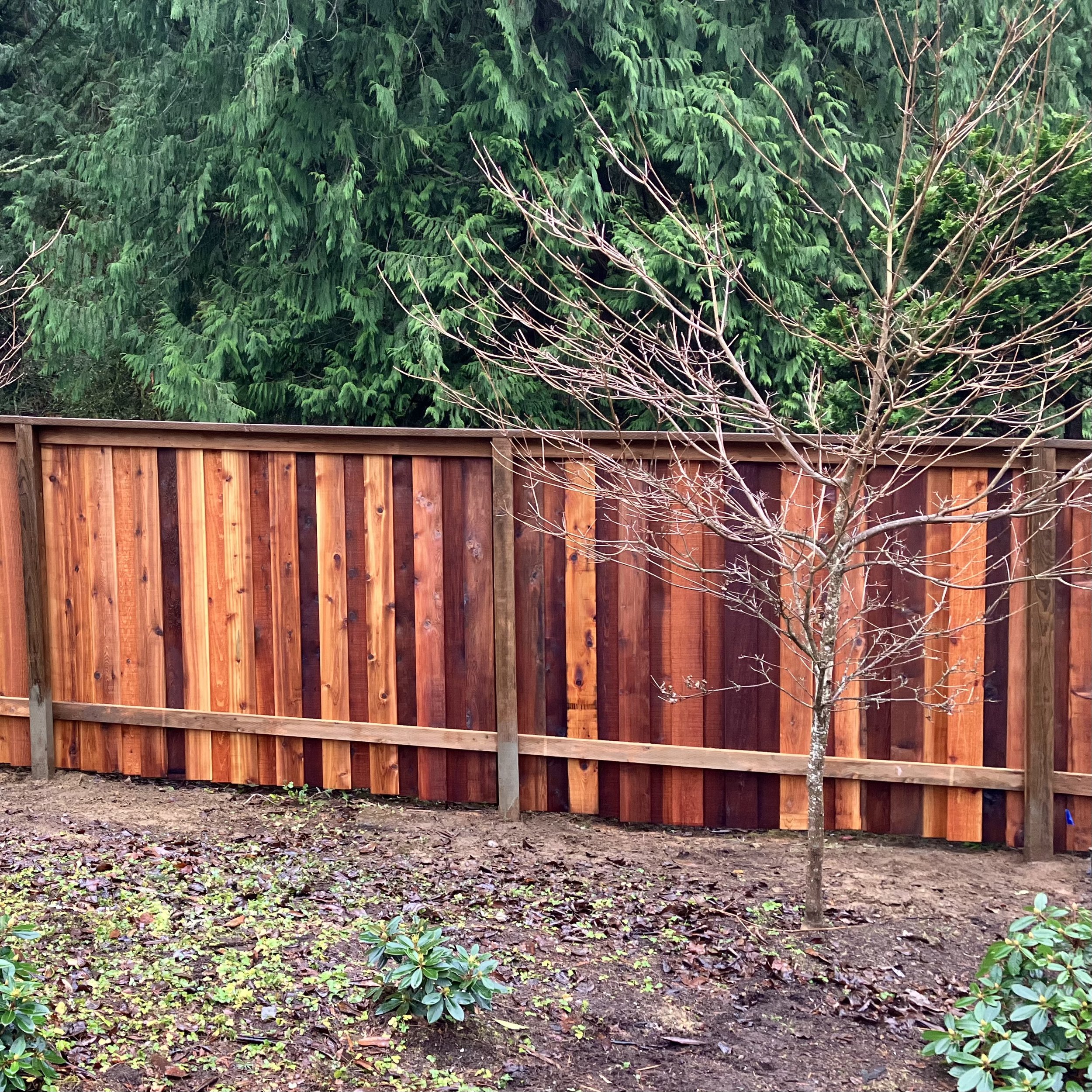 Bellingham Board on Board fence