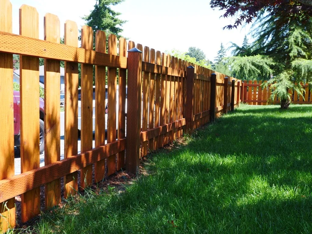 Picket Little Fence