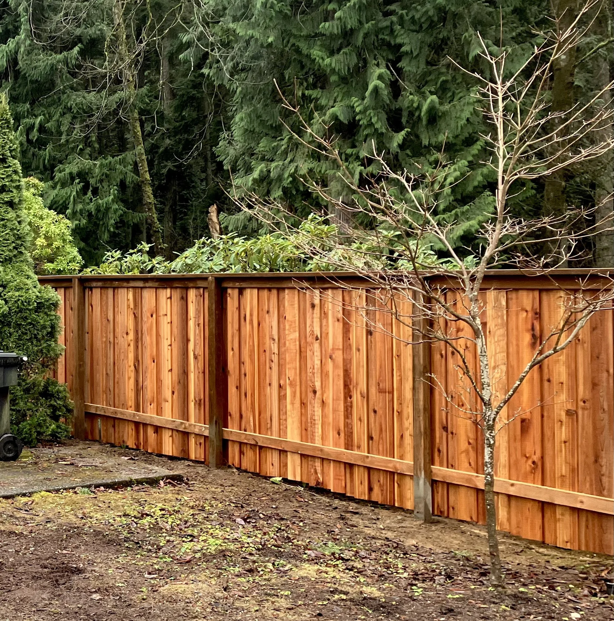 Board on Board Cedar Privacy Fence