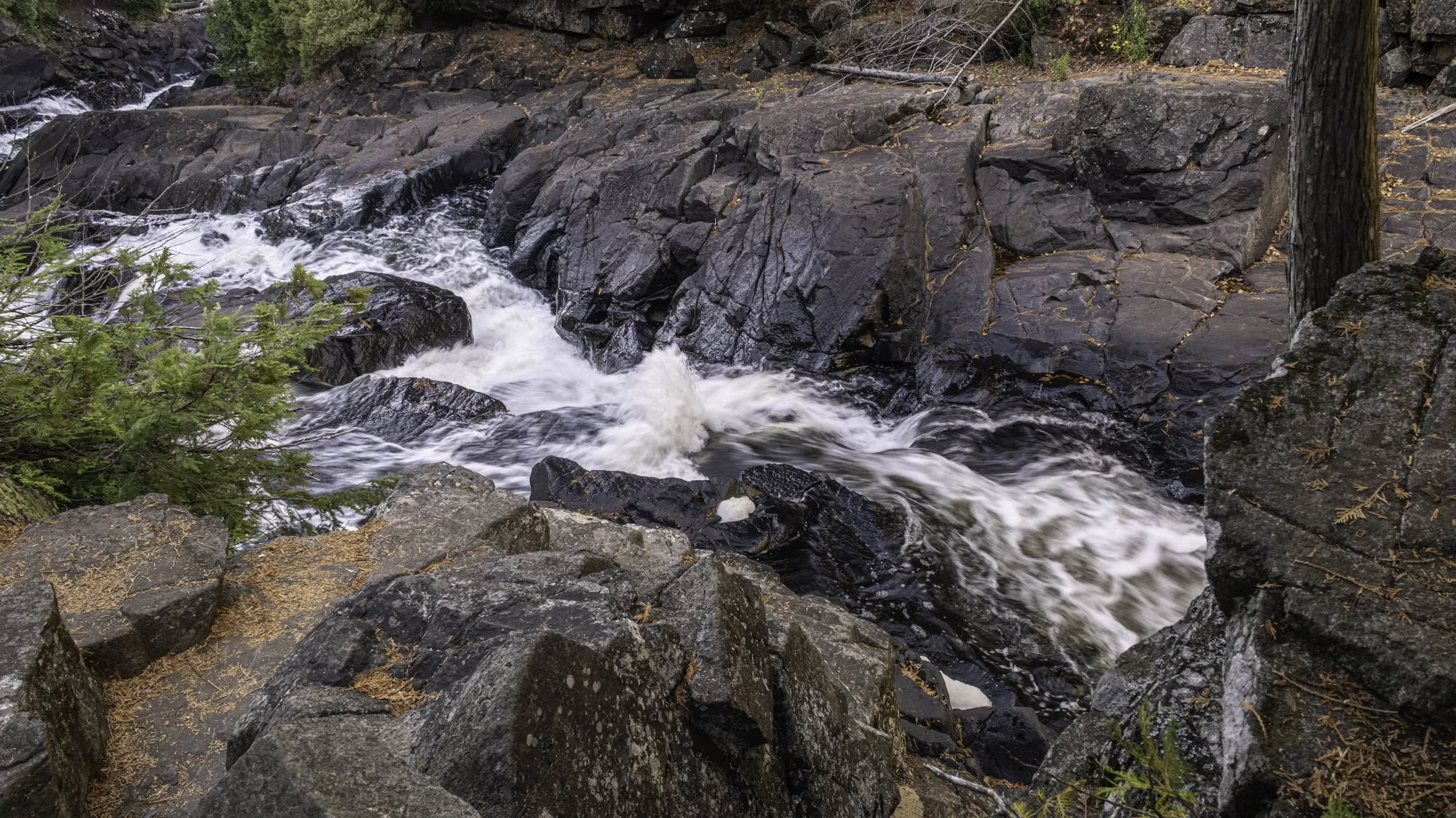 Focus and Frame: How Photography Quietly Heals the Mind