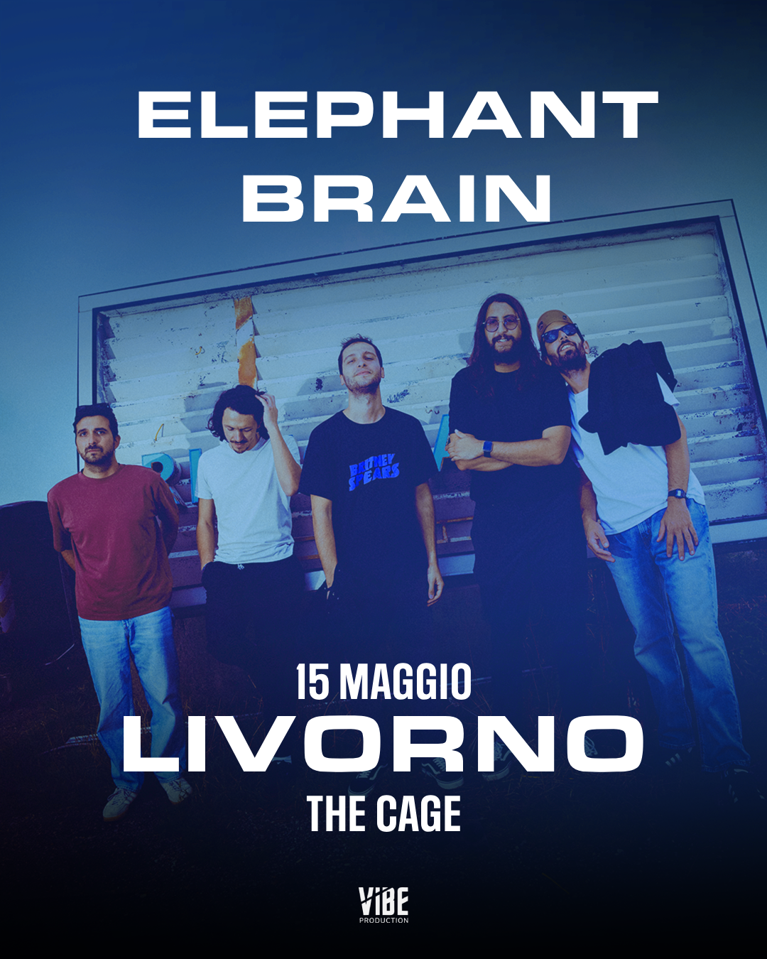 ELEPHANT BRAIN