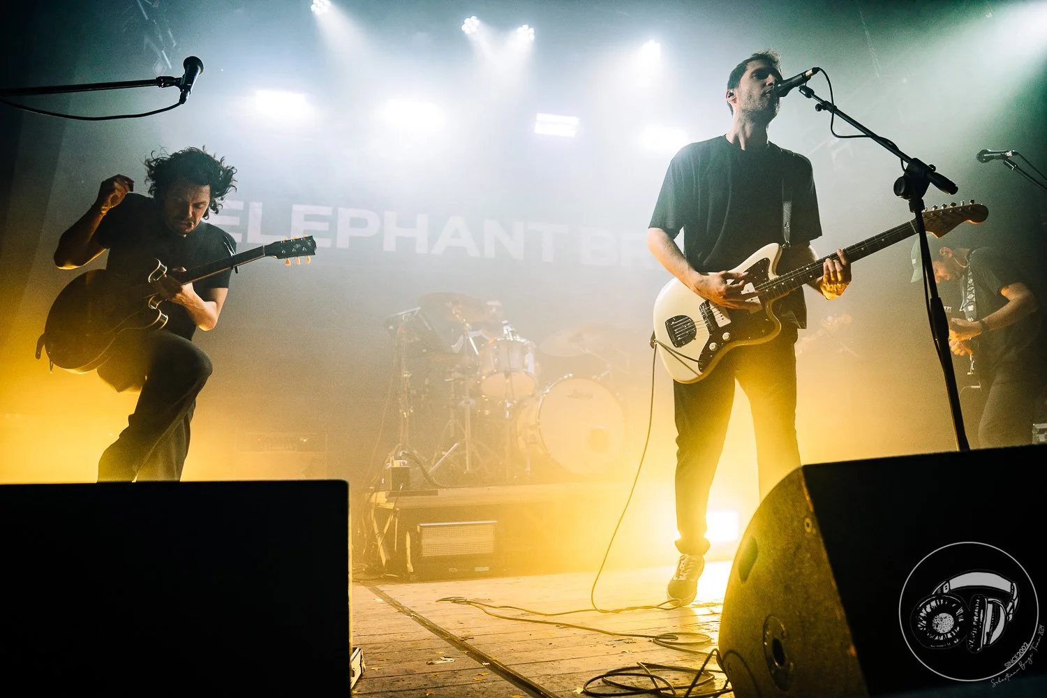 15052026-Elephant Brain_TheCage_Sebastiano_142.jpg