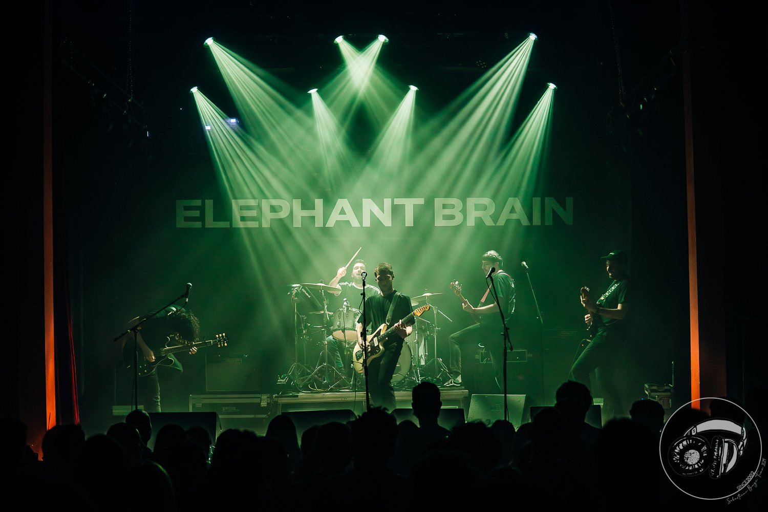 ELEPHANT BRAIN - 15.05.26