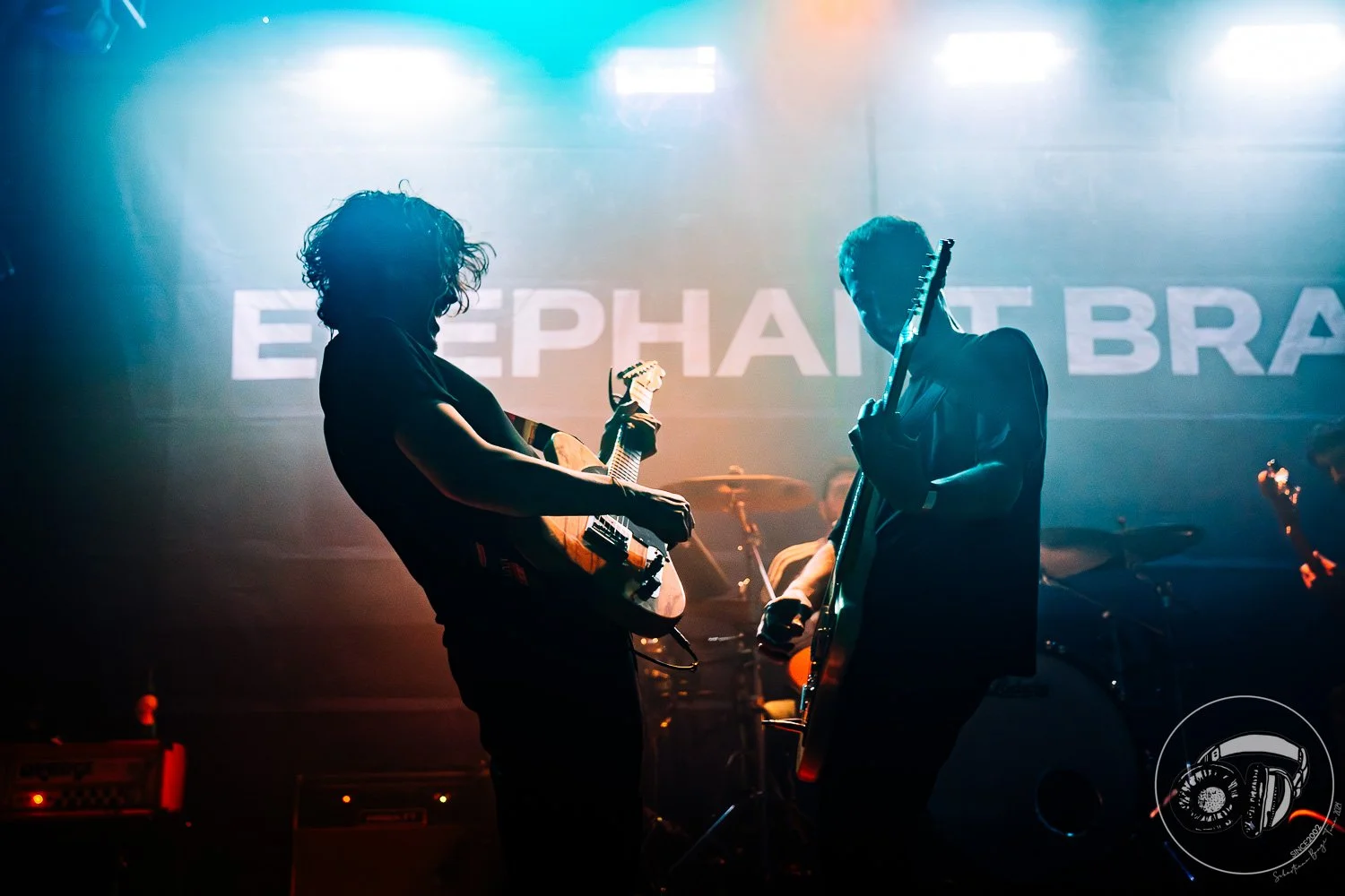 15052026-Elephant Brain_TheCage_Sebastiano_110.jpg