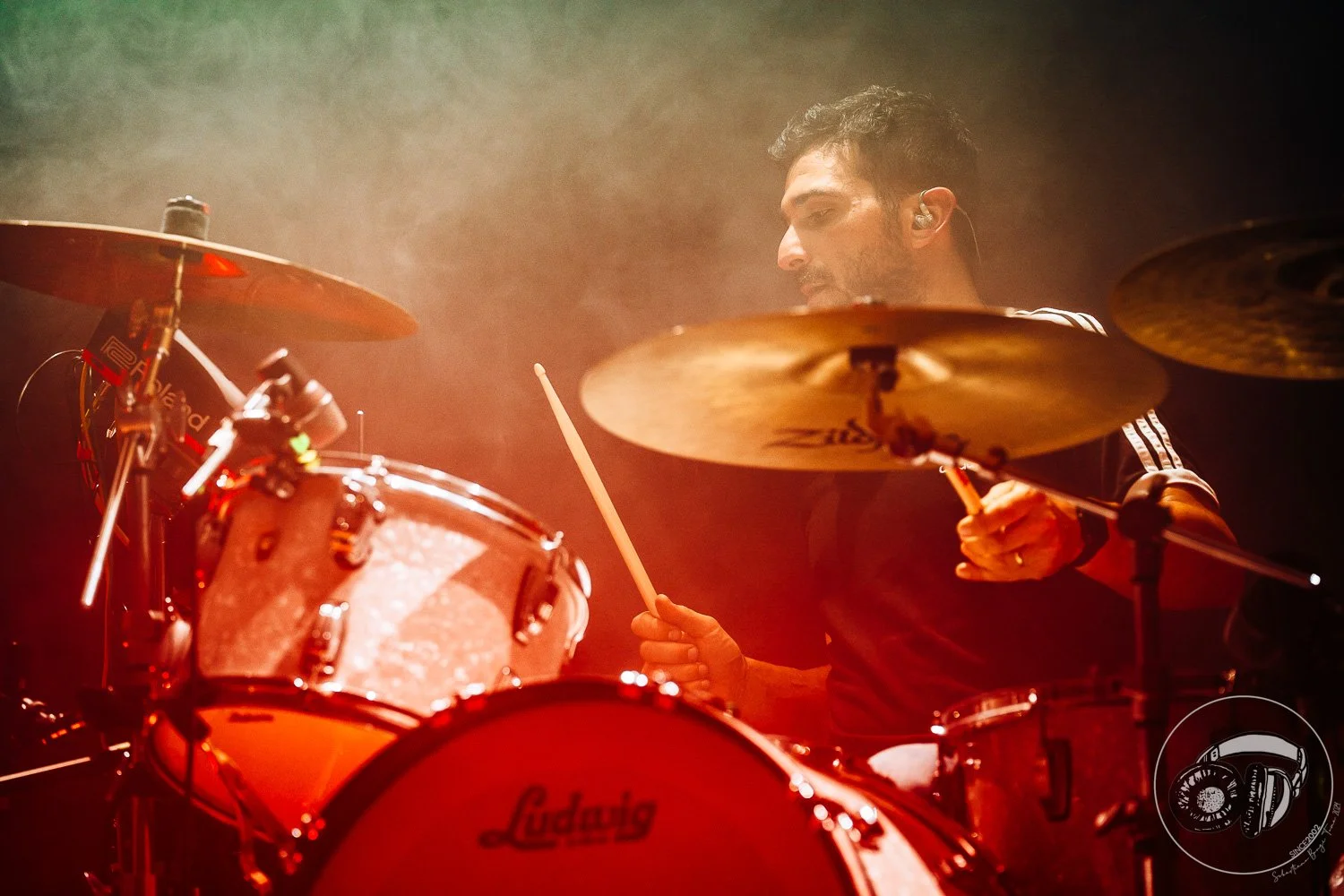 15052026-Elephant Brain_TheCage_Sebastiano_122.jpg