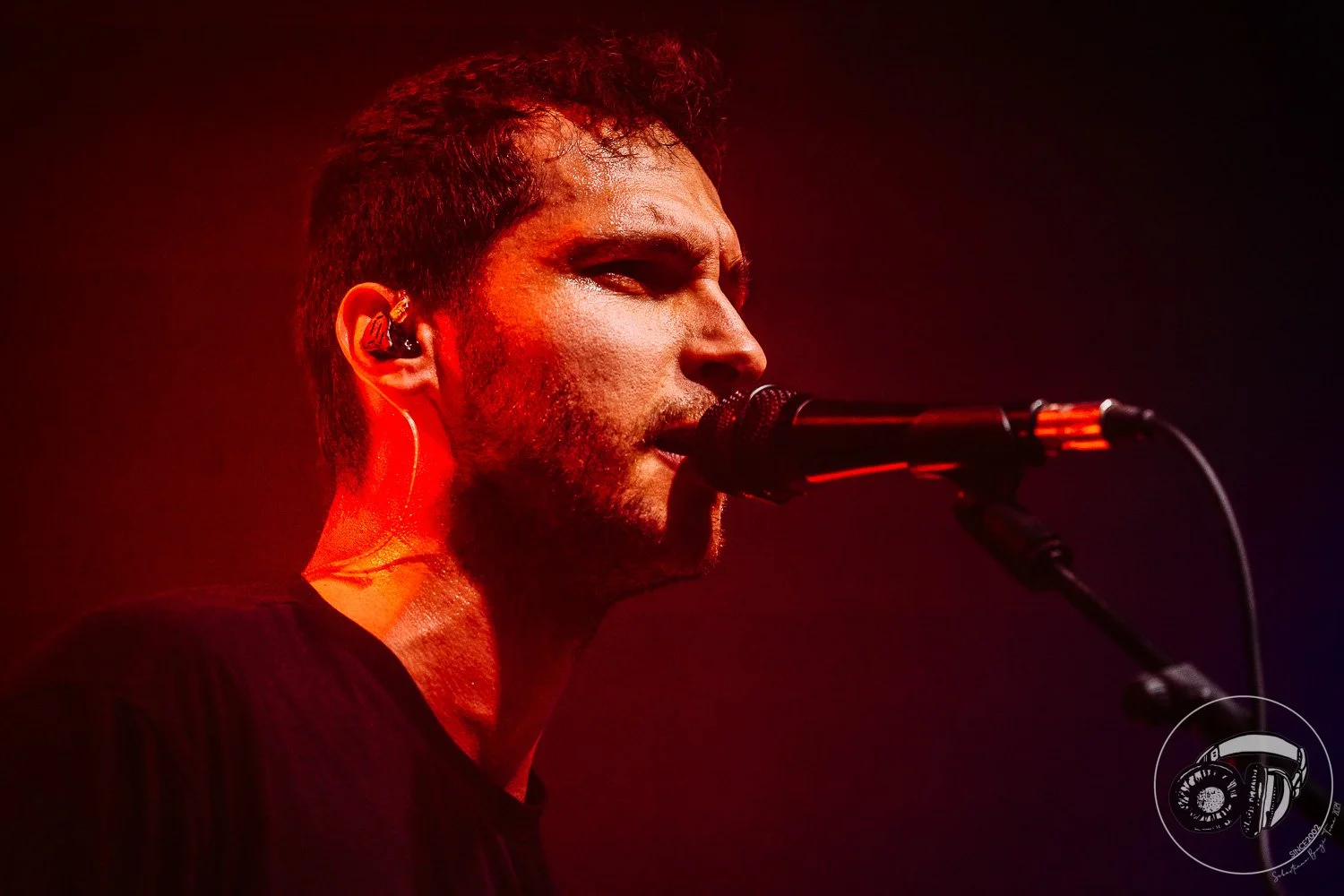 15052026-Elephant Brain_TheCage_Sebastiano_56.jpg
