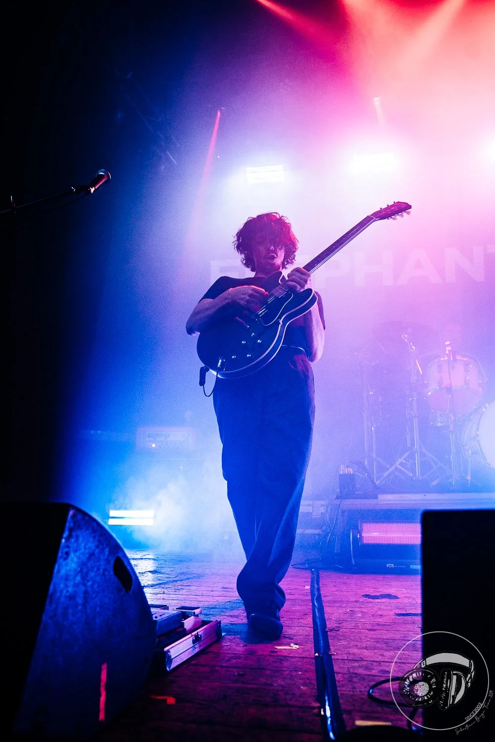 15052026-Elephant Brain_TheCage_Sebastiano_7.jpg