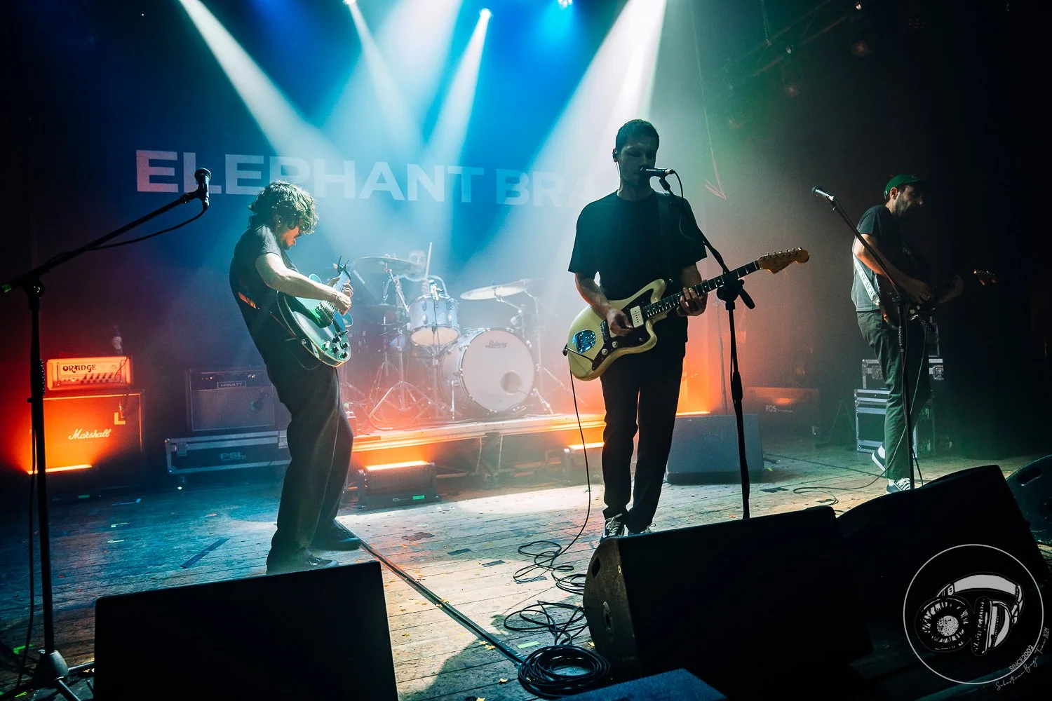 15052026-Elephant Brain_TheCage_Sebastiano_26.jpg
